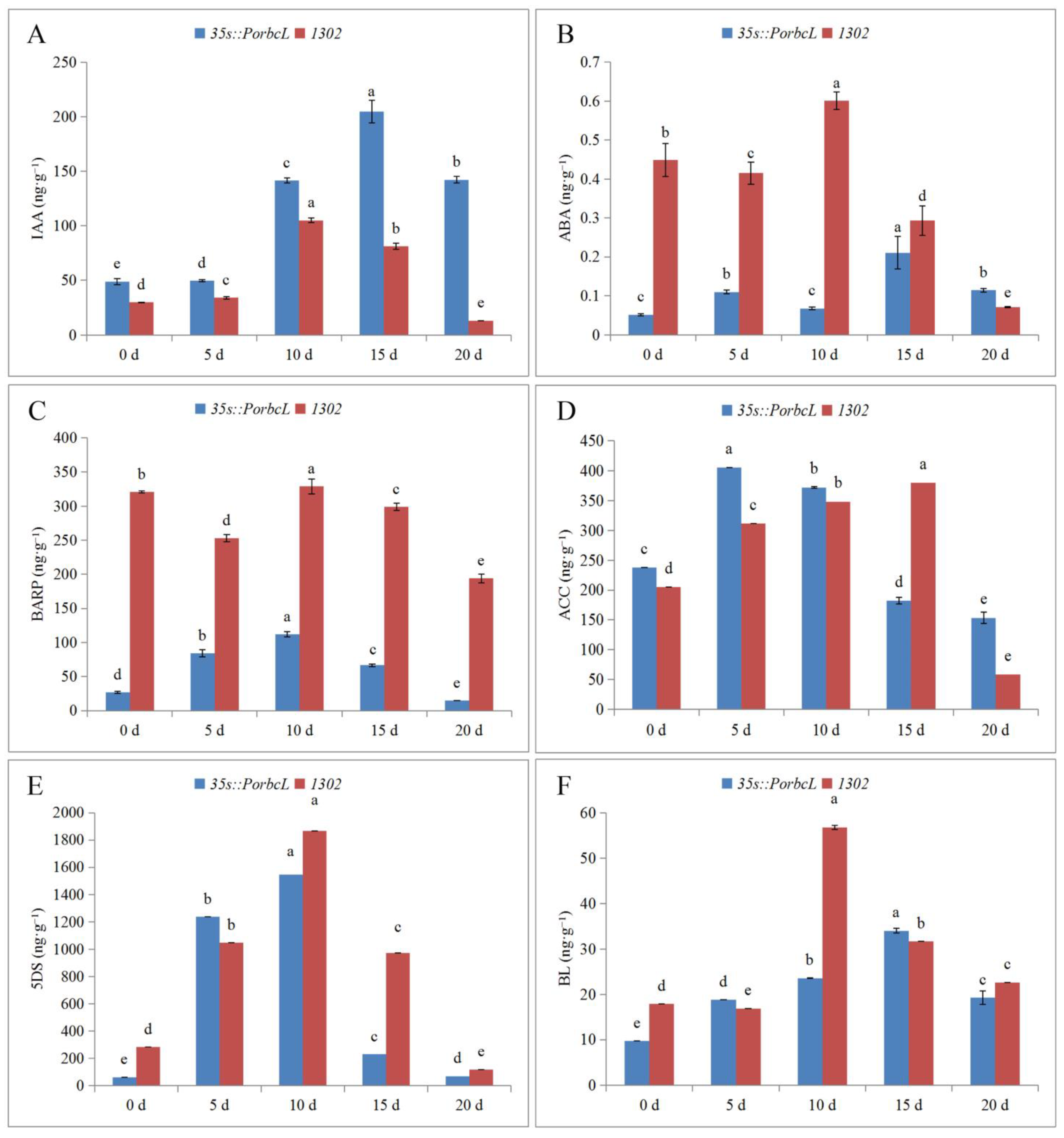 Plants 13 02697 g008
