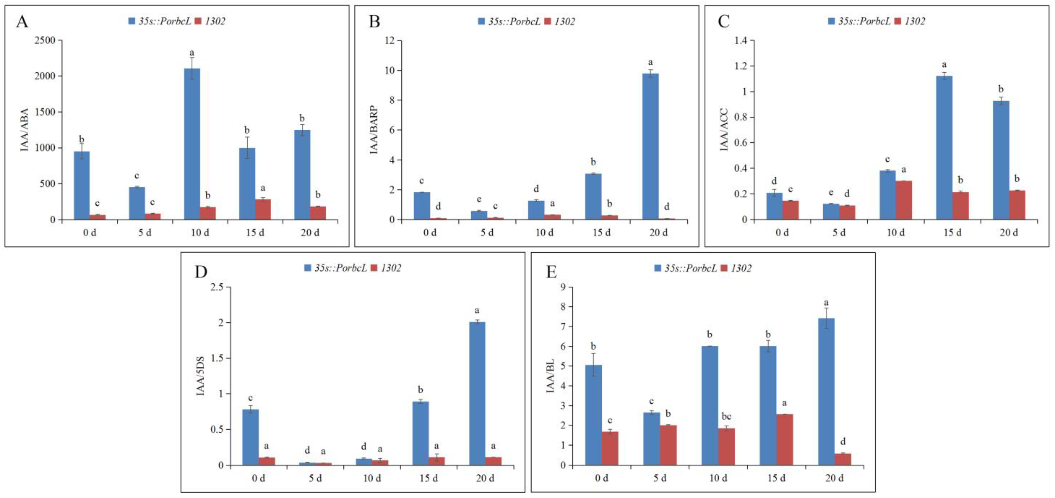 Plants 13 02697 g009
