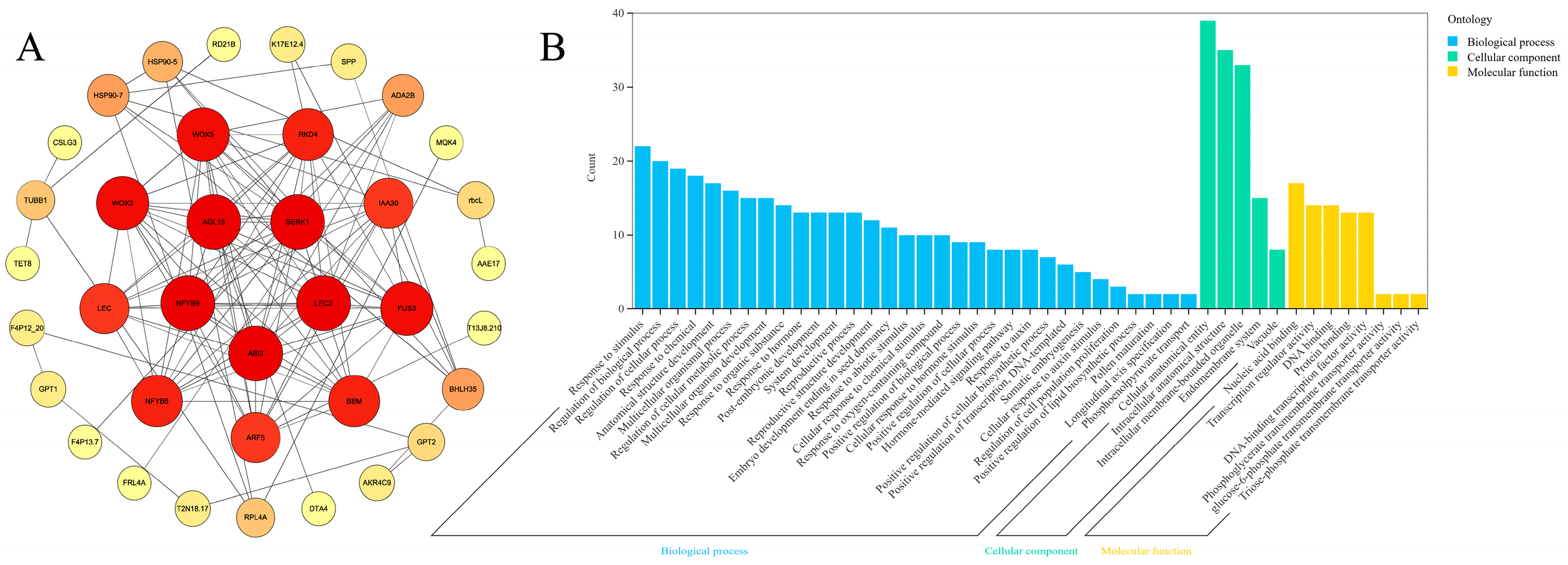 Plants 13 02697 g010