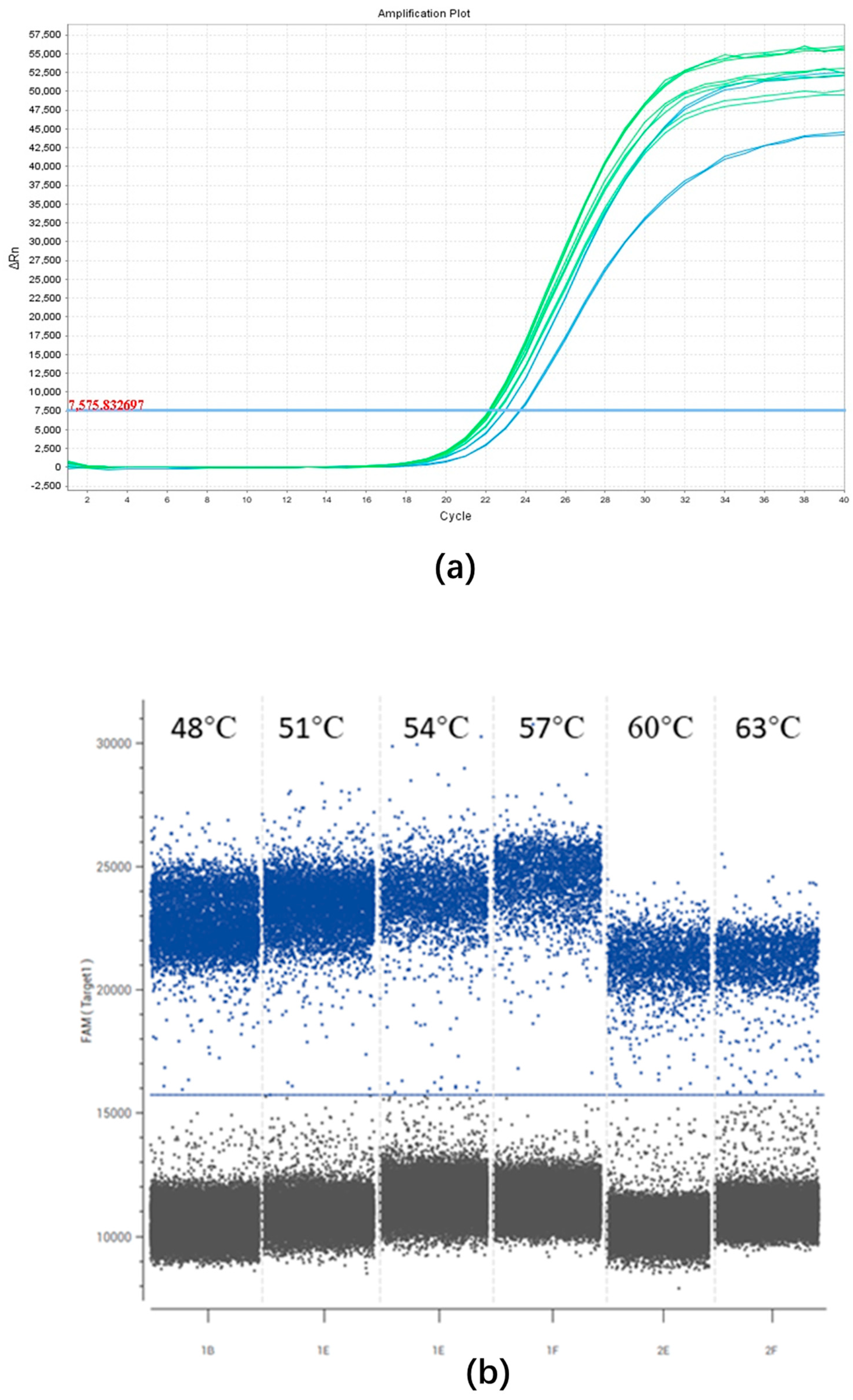 Plants 13 02701 g002