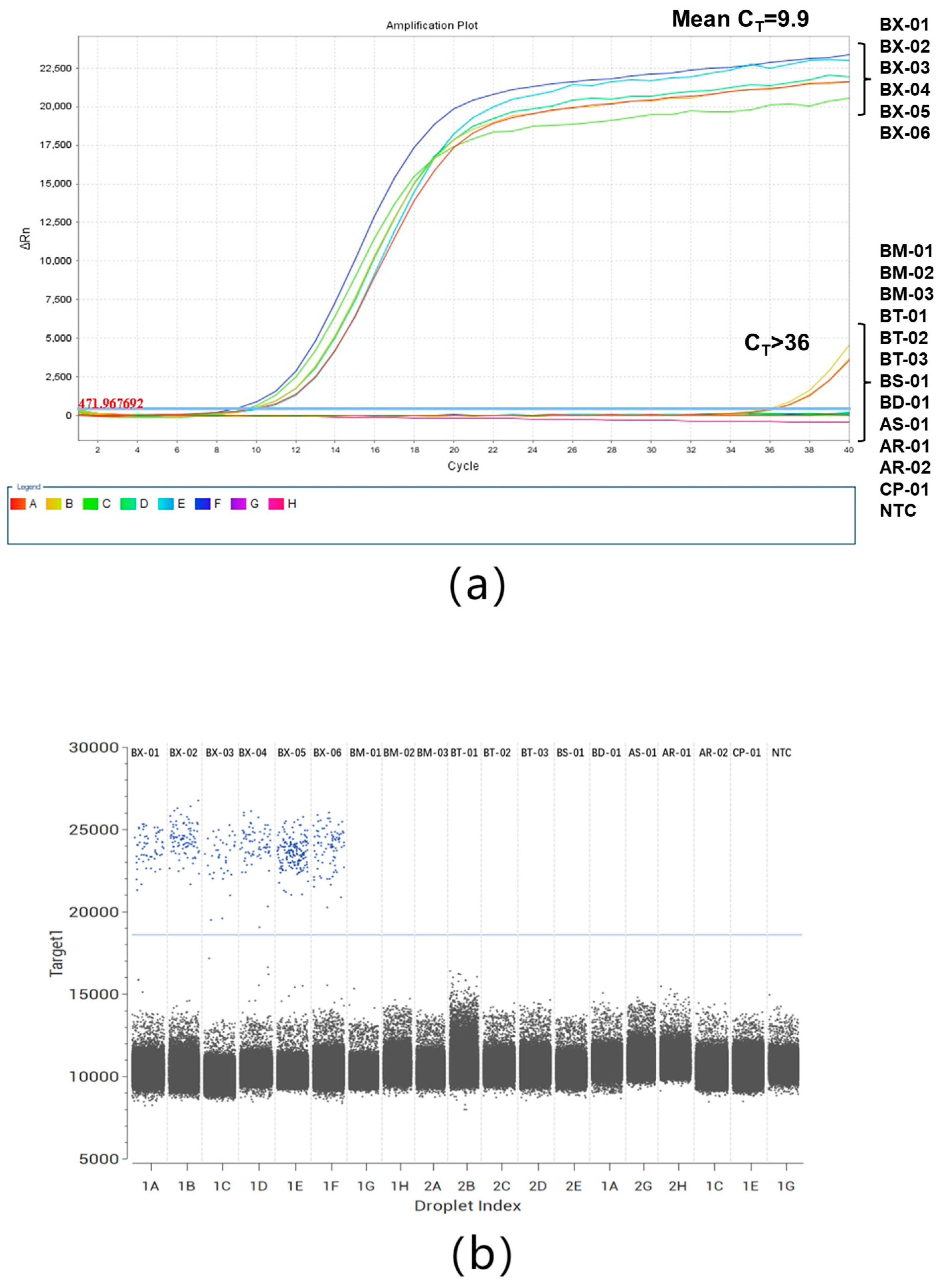 Plants 13 02701 g003