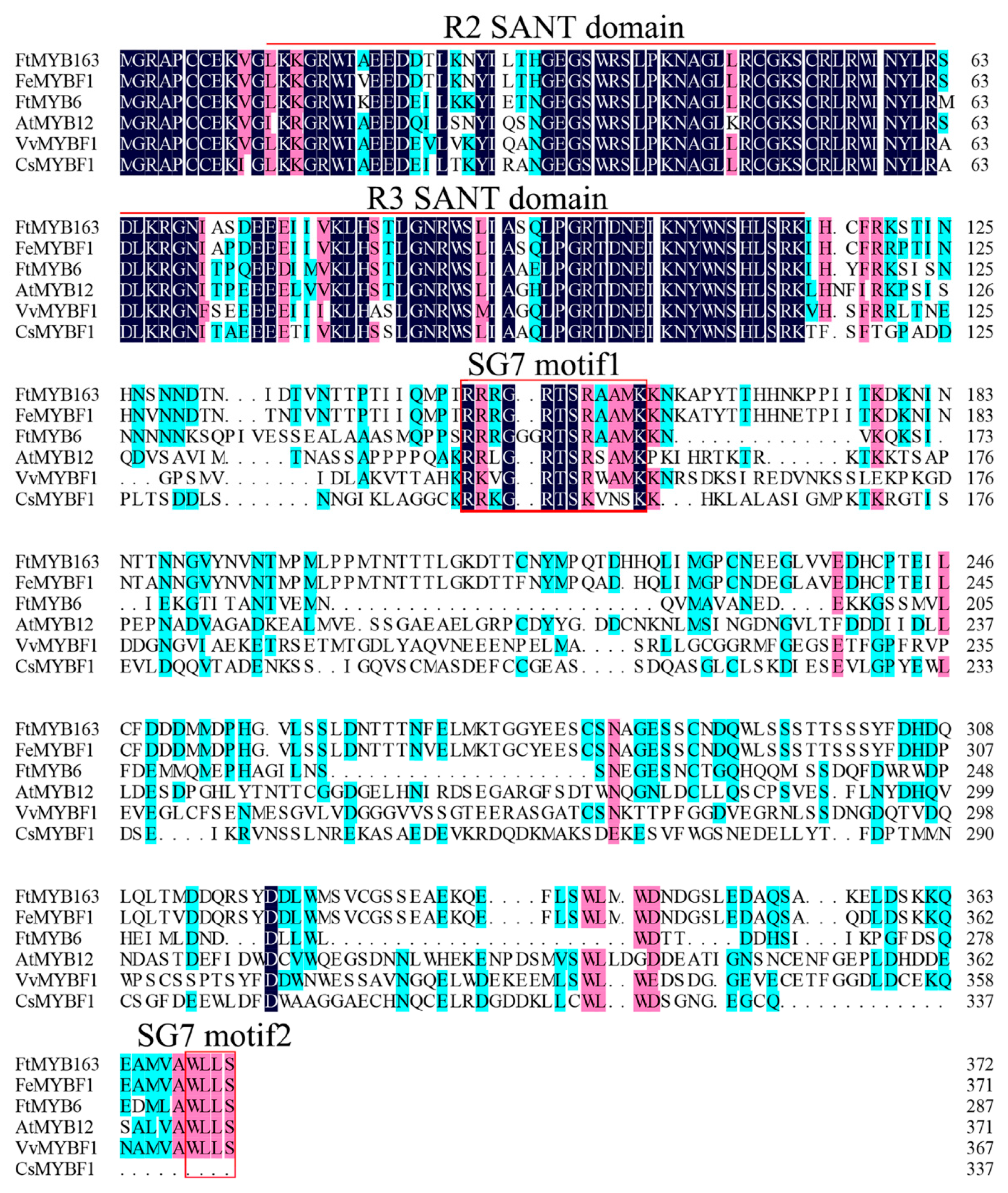 Plants 13 02704 g001