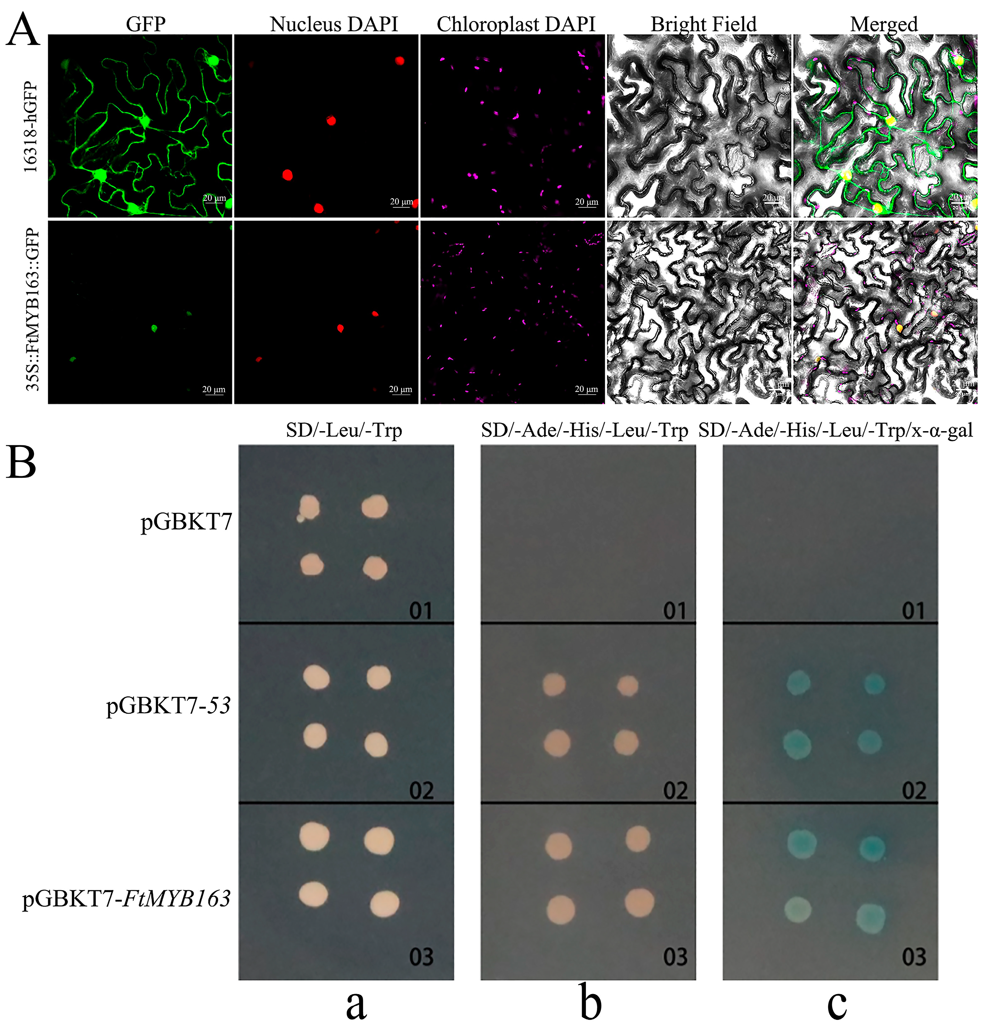 Plants 13 02704 g003