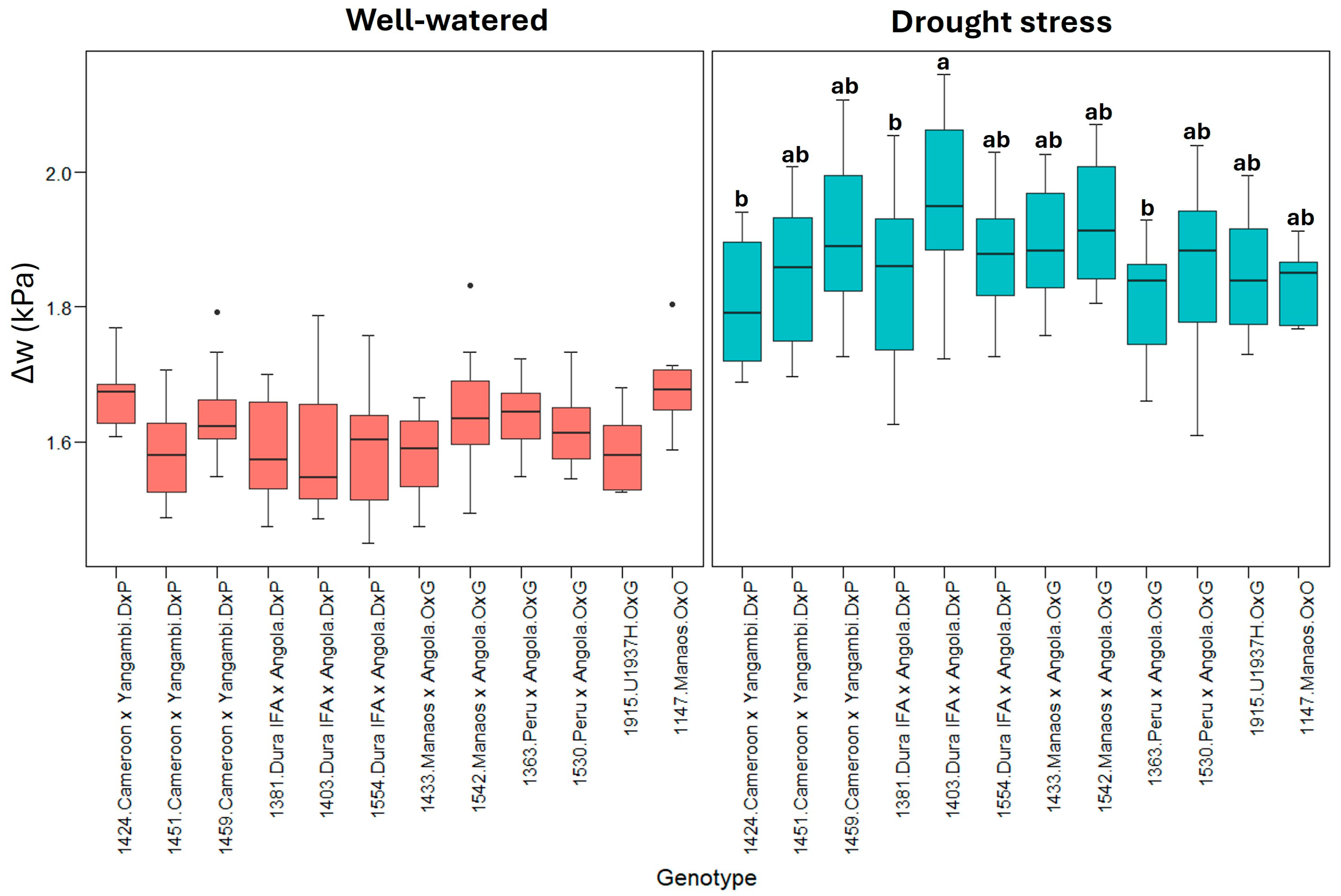 Plants 13 02705 g004
