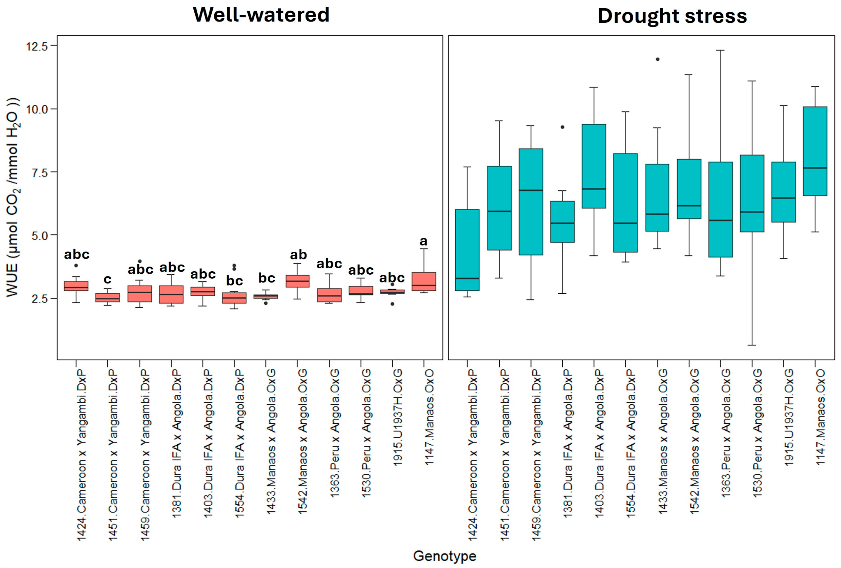 Plants 13 02705 g005