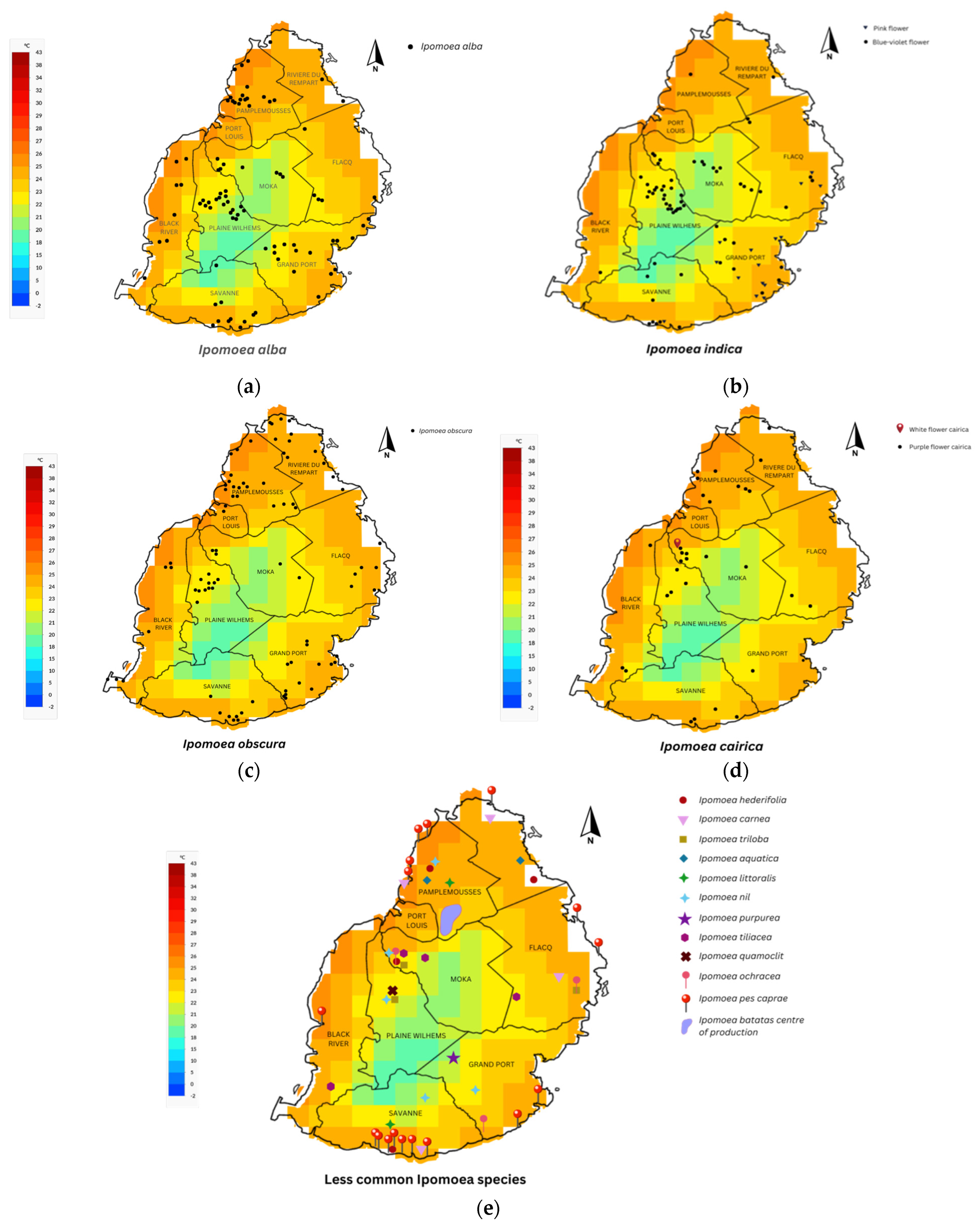 Plants 13 02706 g001
