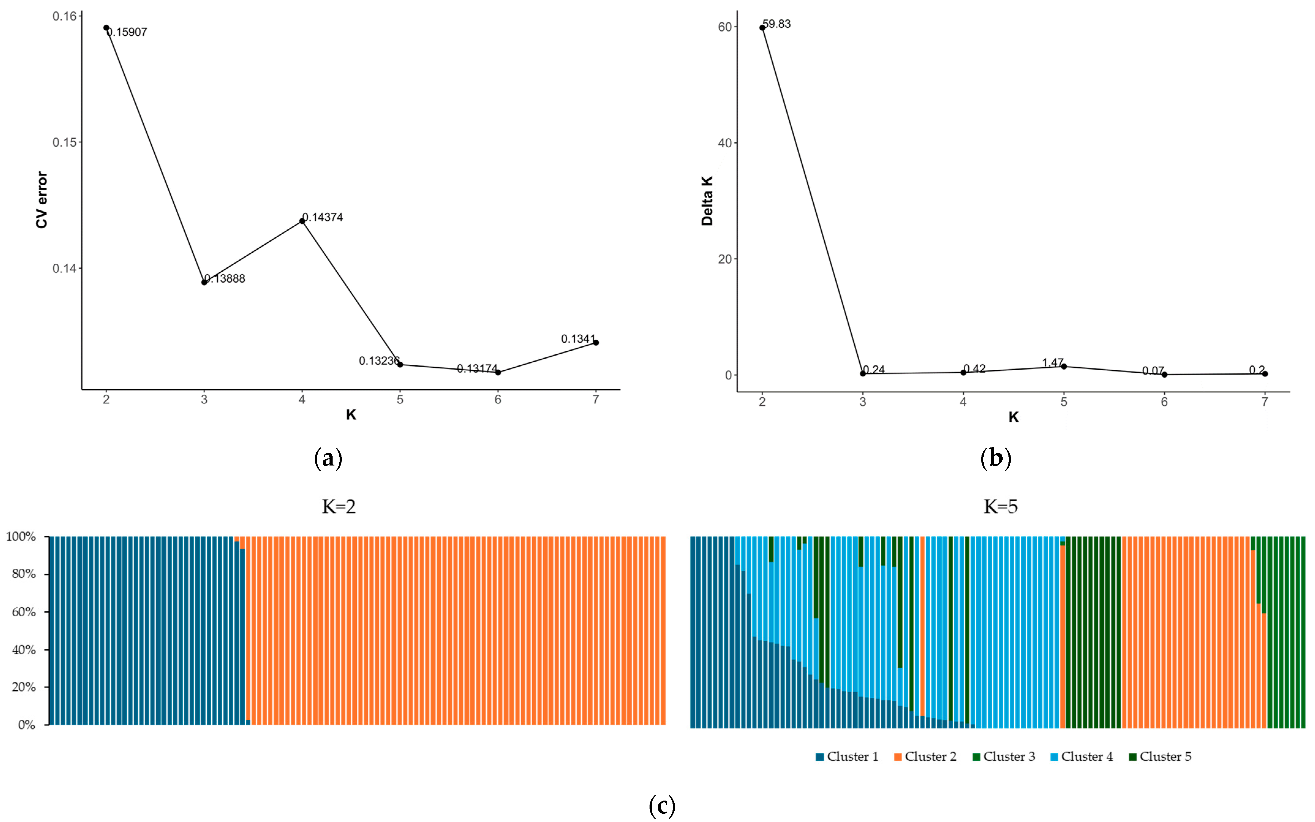 Plants 13 02708 g004