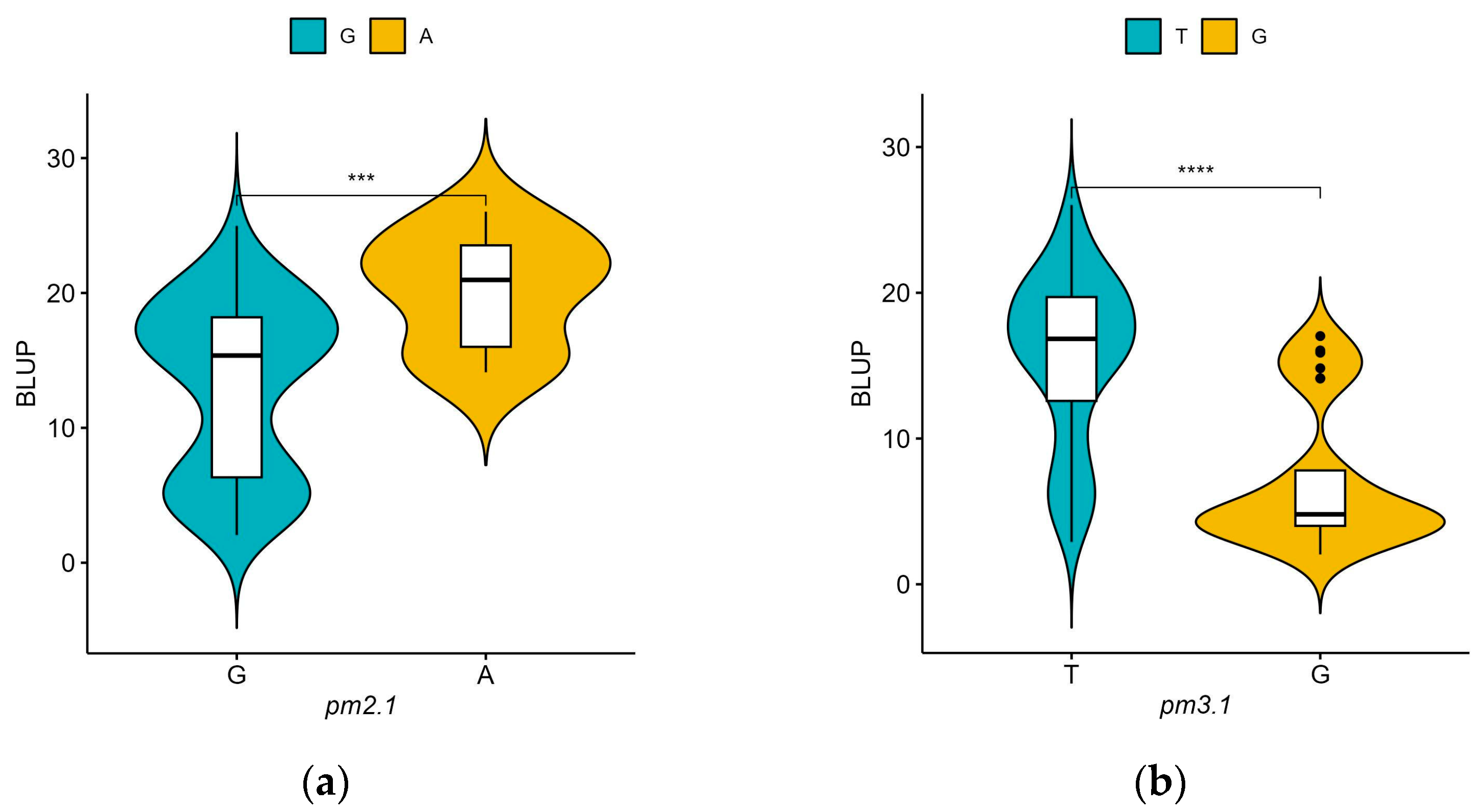 Plants 13 02708 g006
