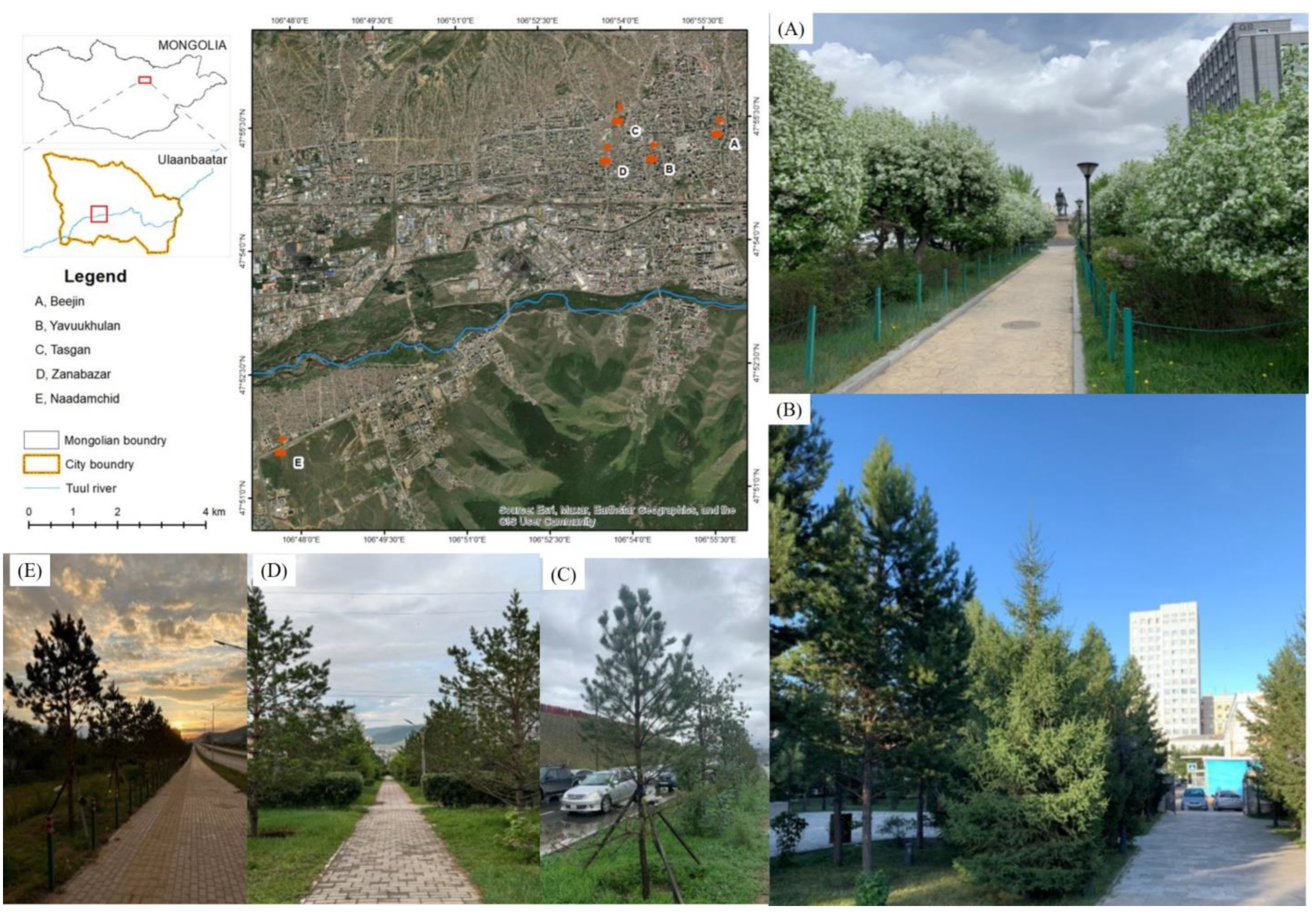 Plants 13 02709 g005