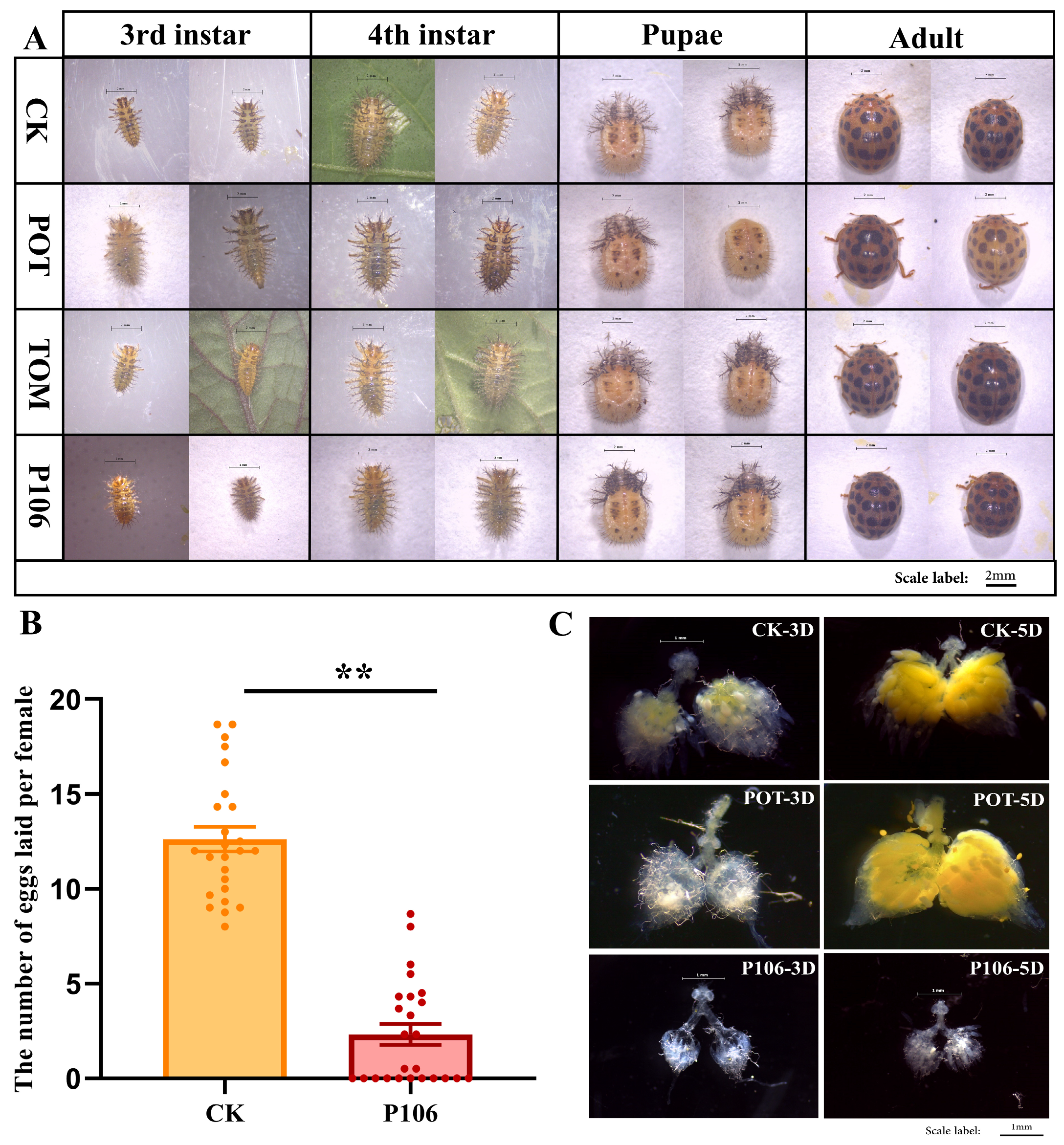 Plants 13 02711 g001