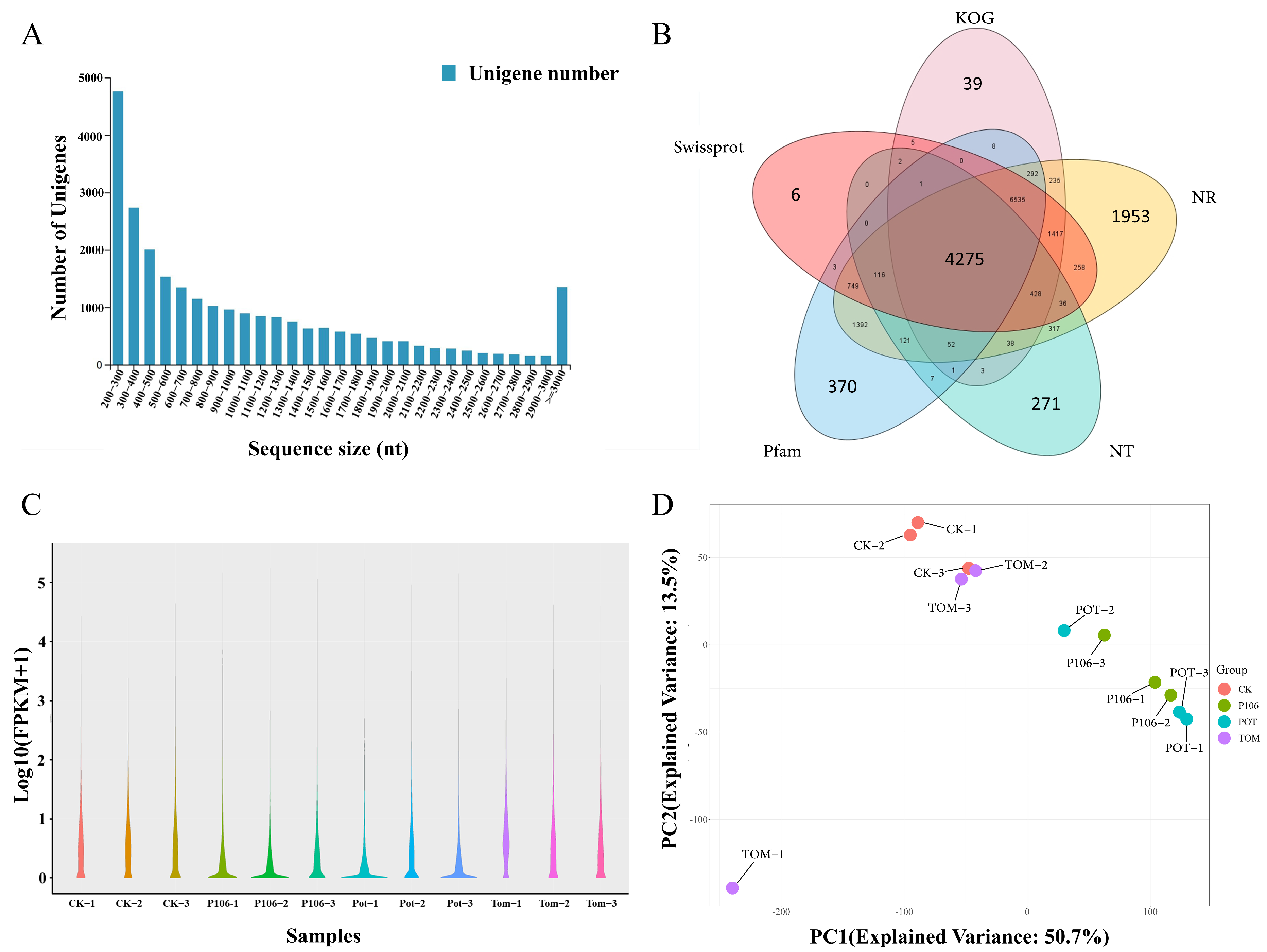 Plants 13 02711 g002