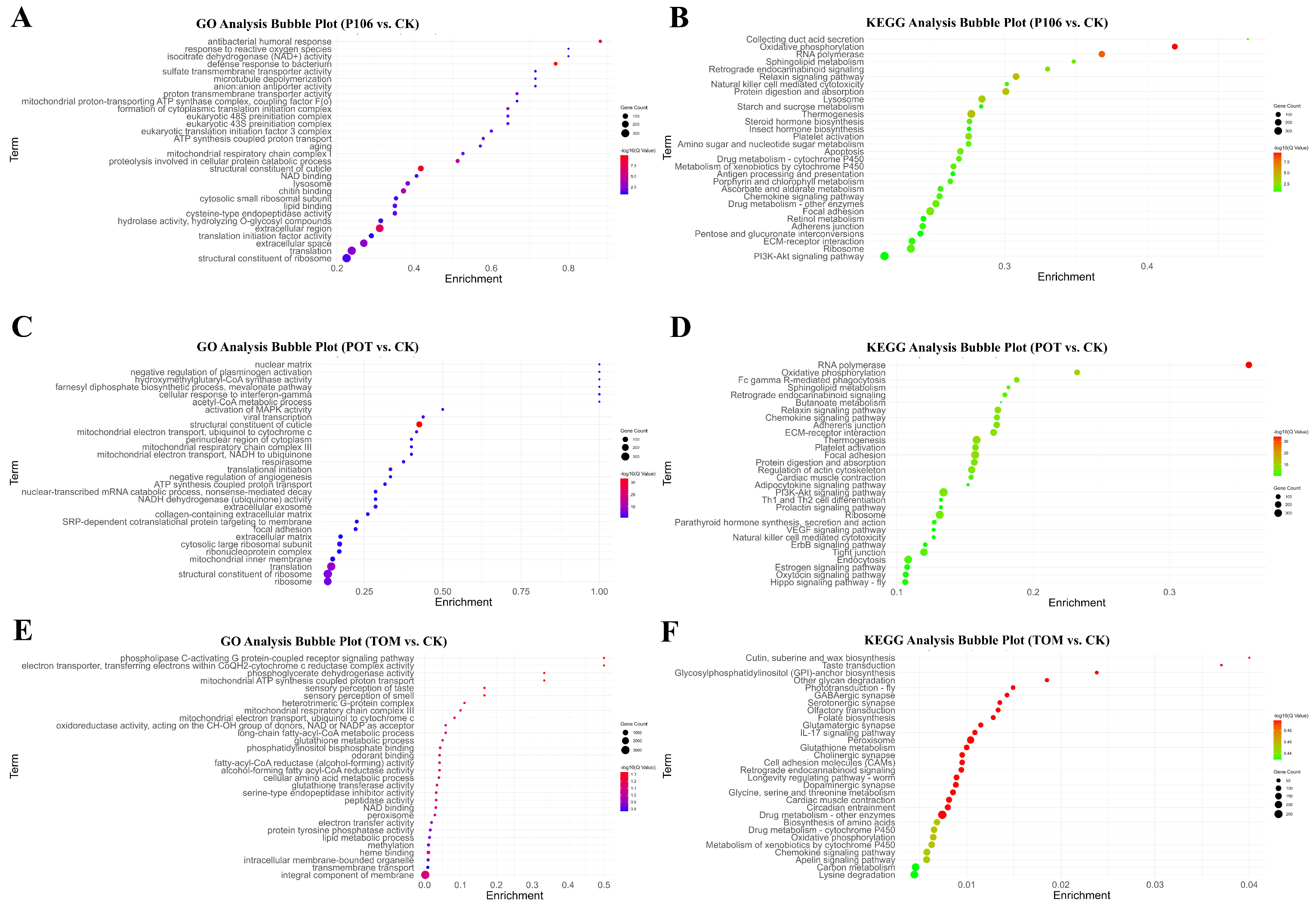 Plants 13 02711 g005
