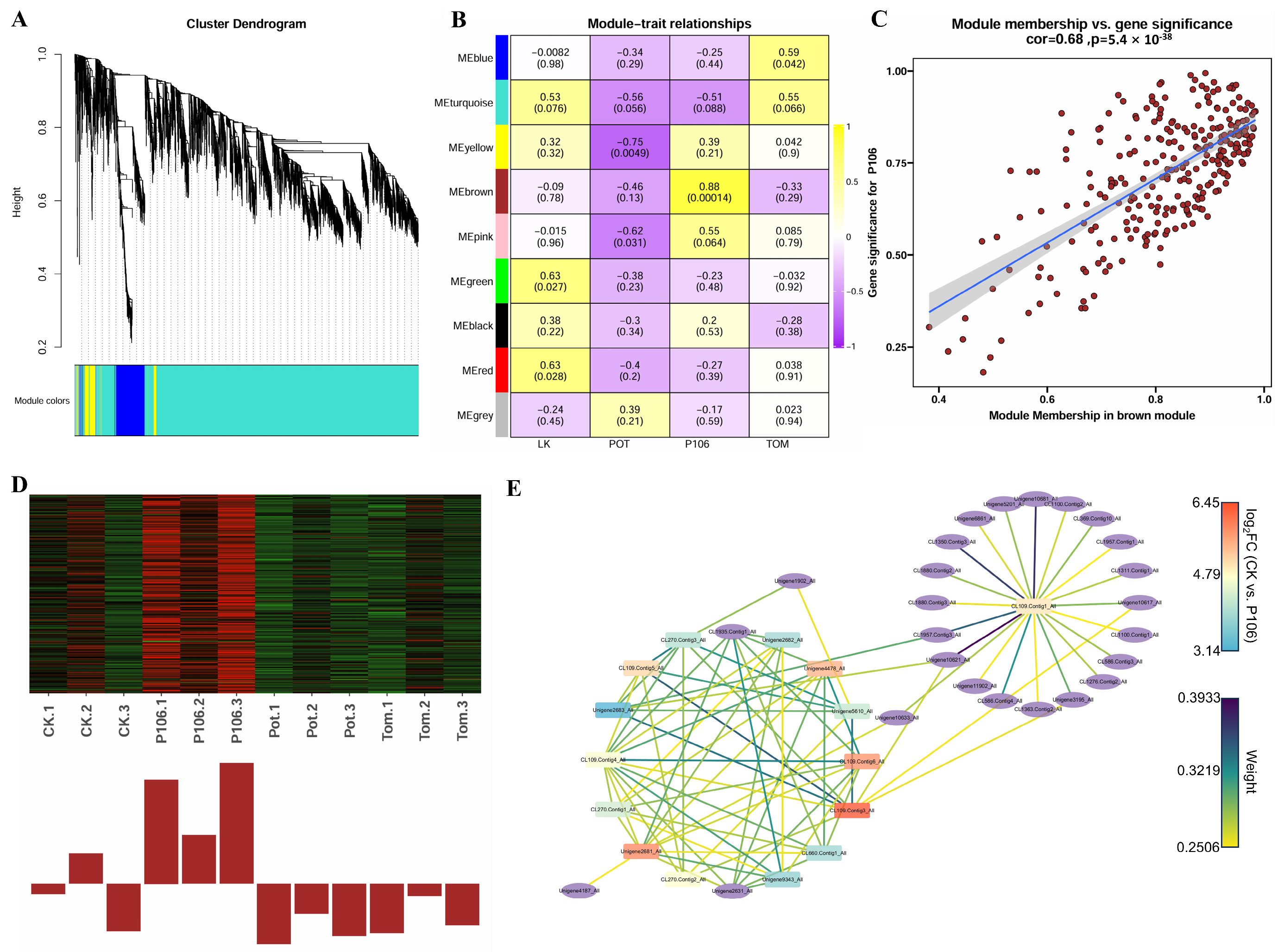 Plants 13 02711 g006