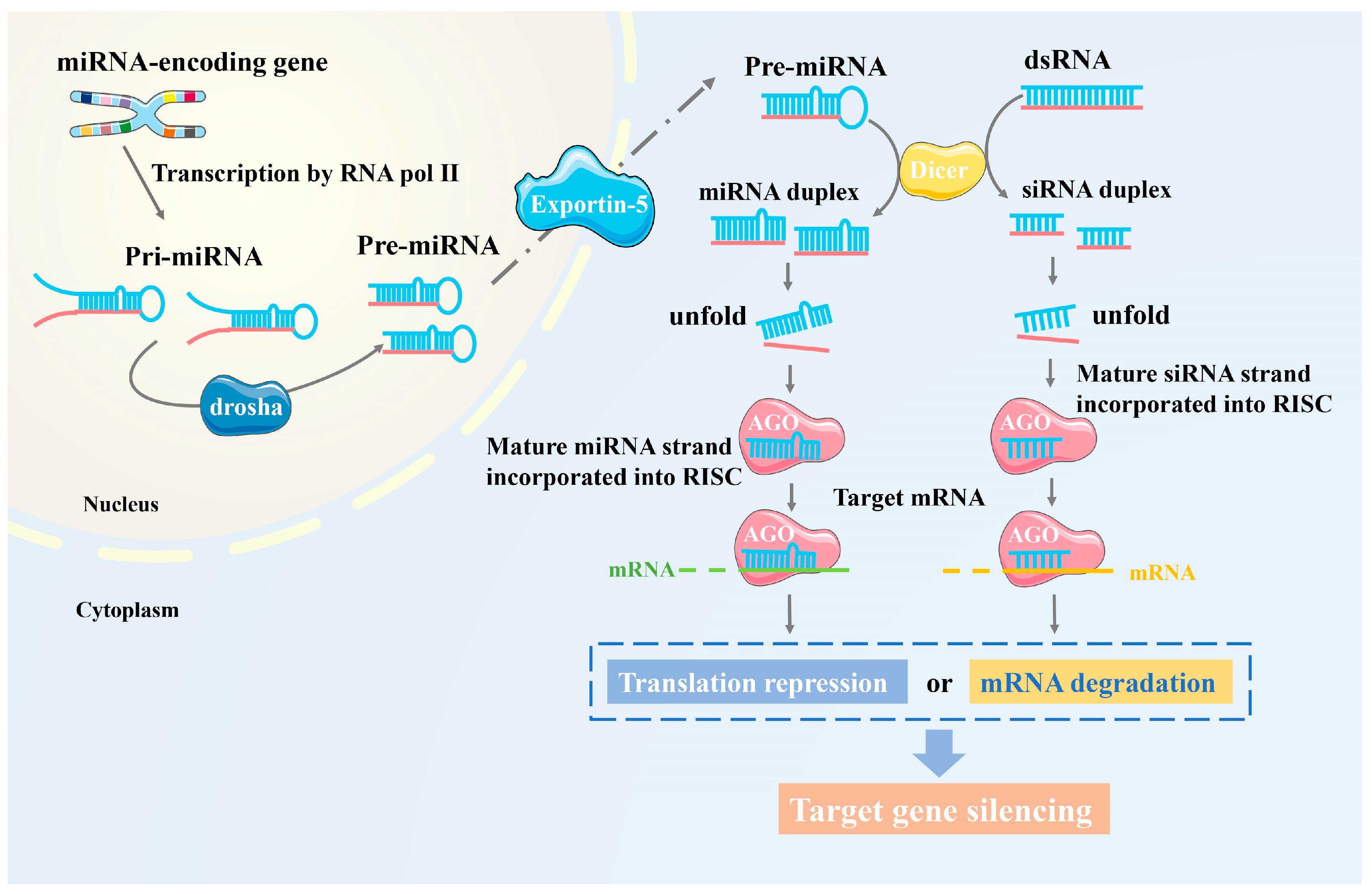 Plants 13 02712 g001