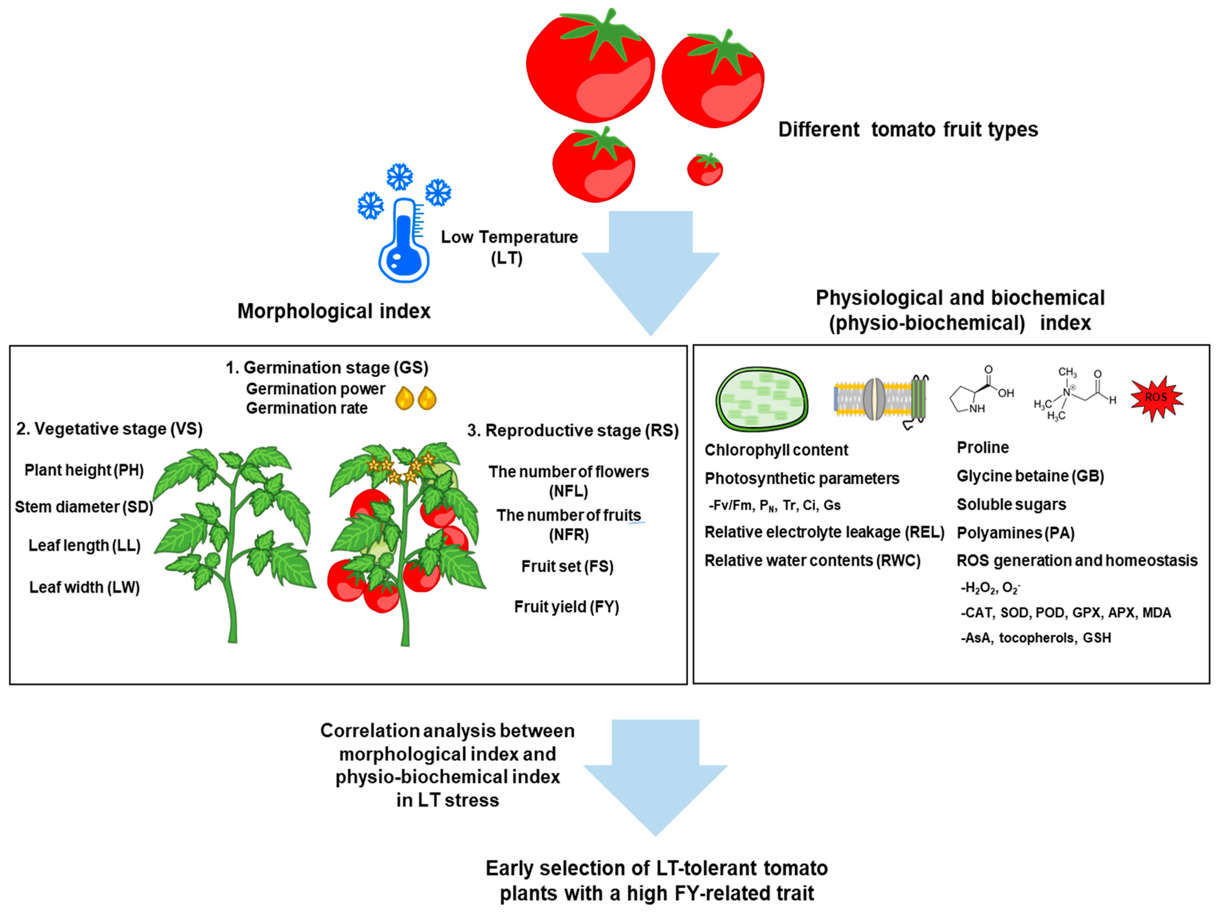 Plants 13 02715 g001