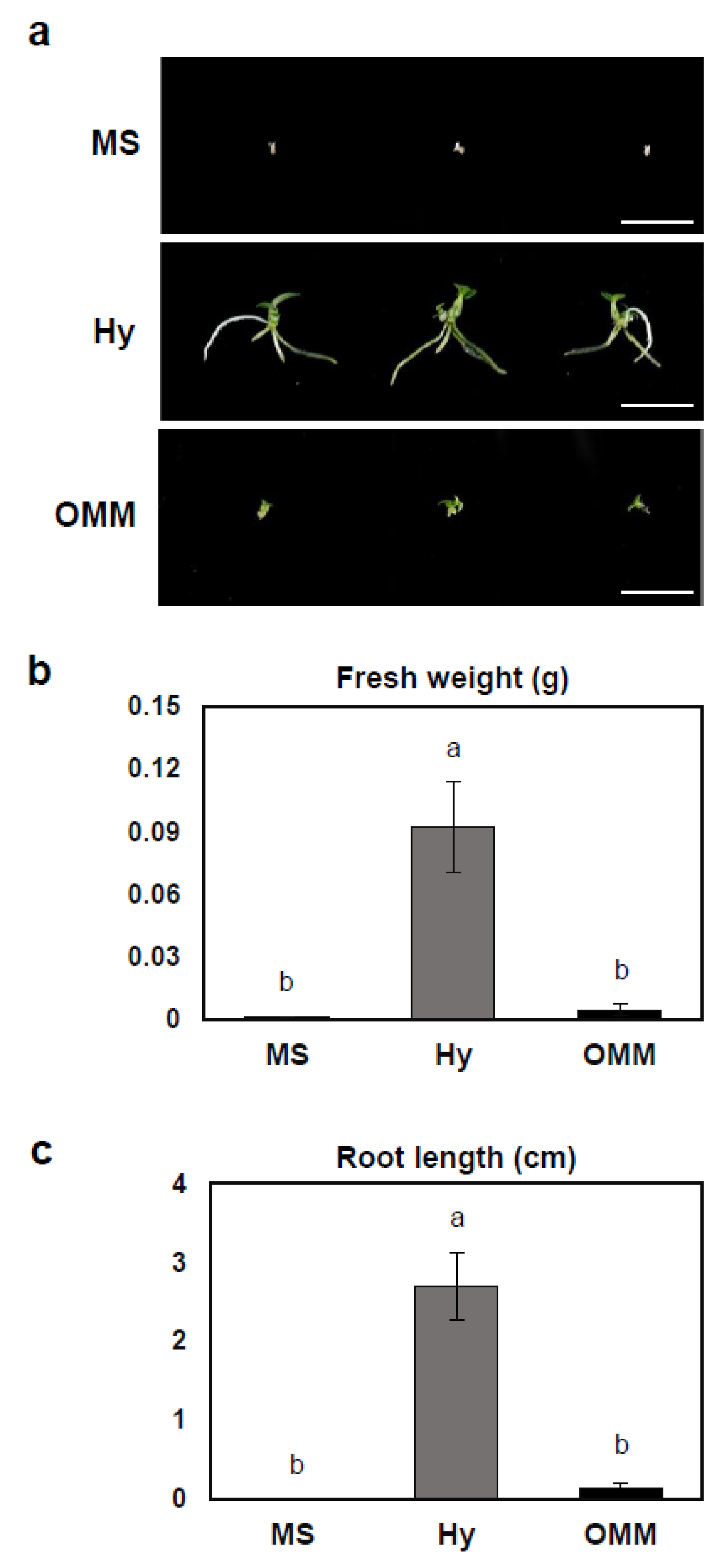 Plants 13 02721 g003 Plants 13 02721 g003