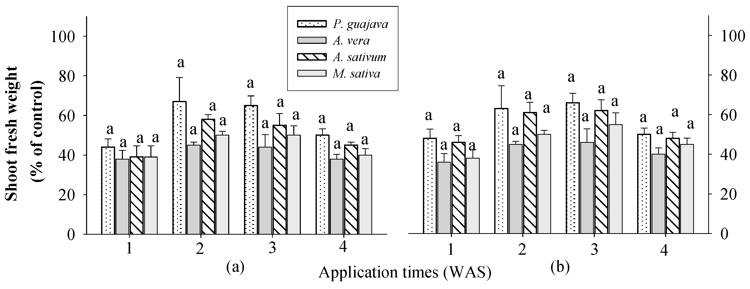 Plants 13 02727 g001