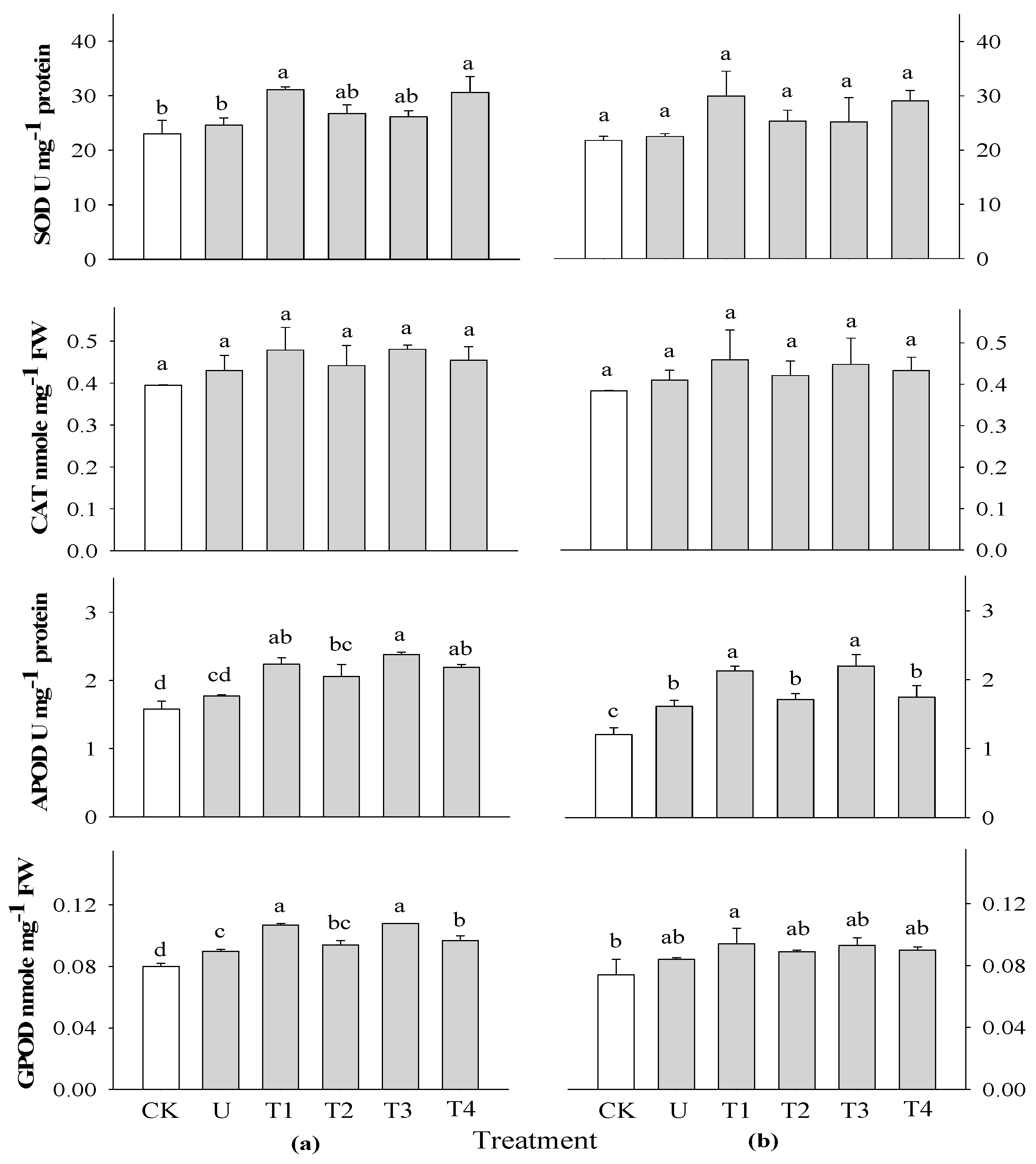 Plants 13 02727 g004