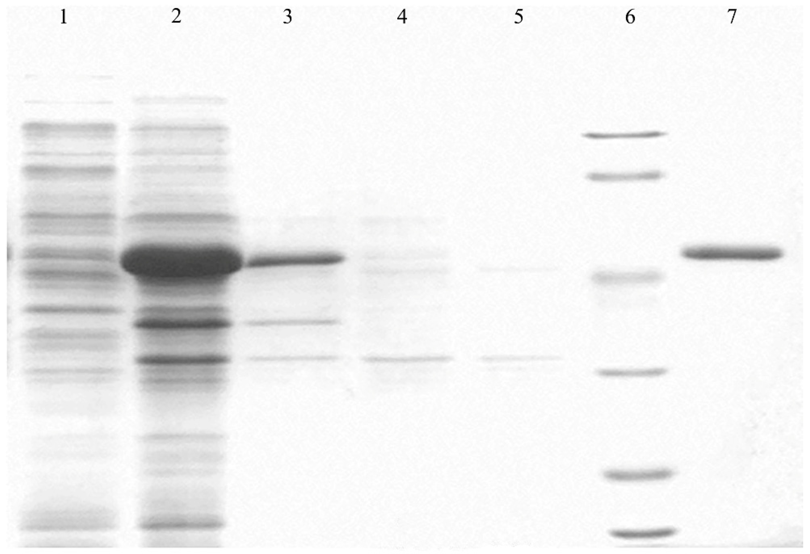 Plants 13 02731 g003