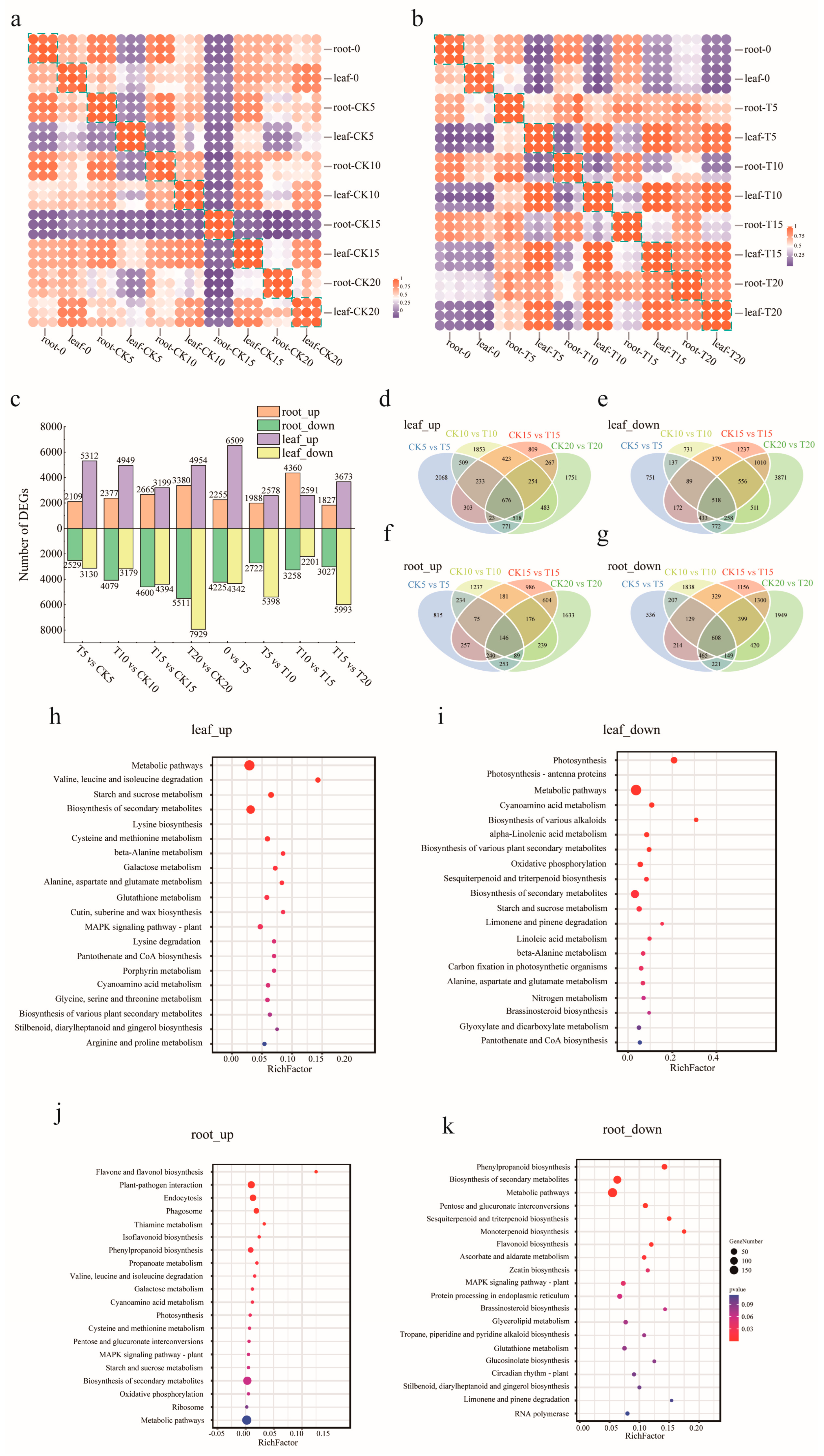 Plants 13 02732 g002