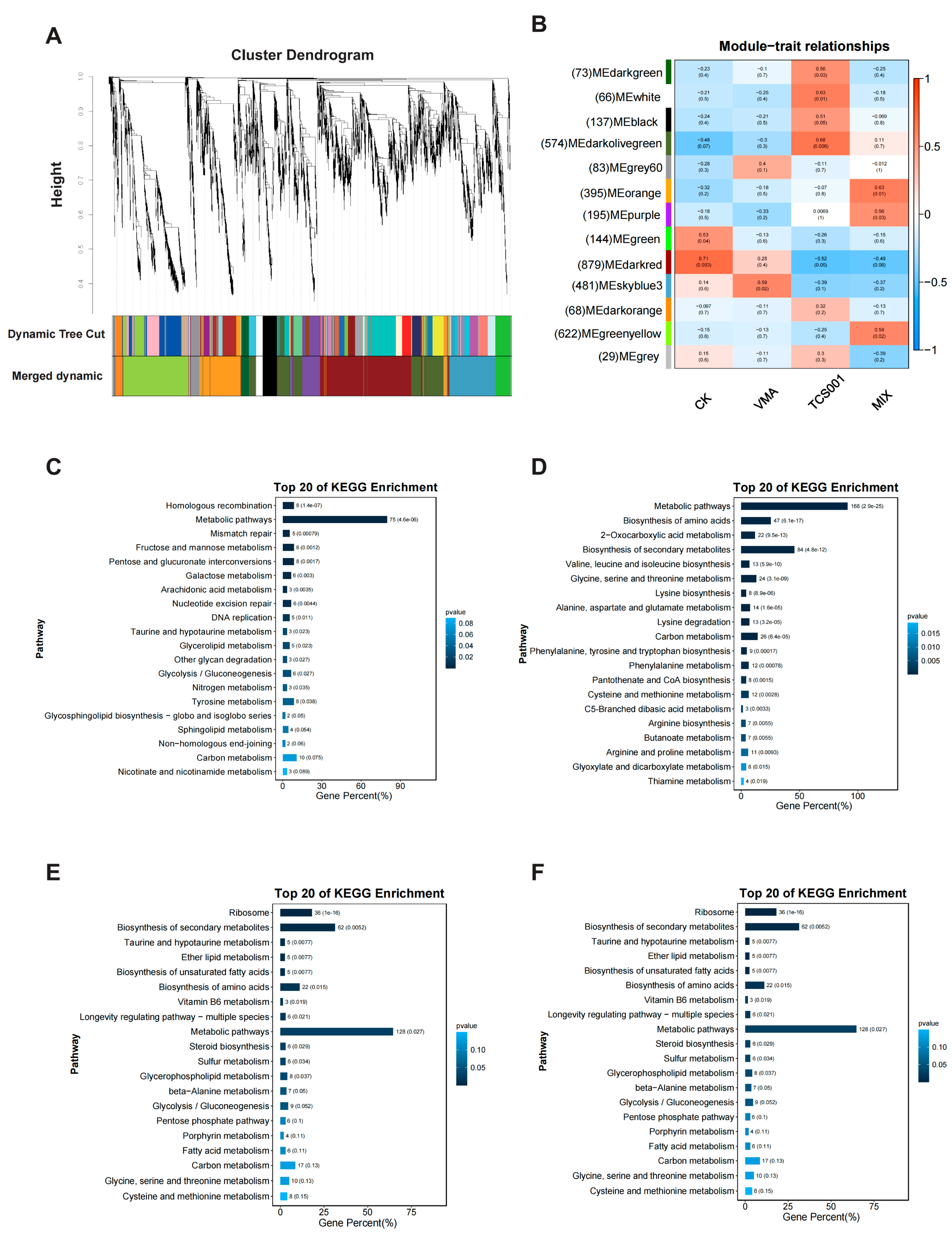 Plants 13 02743 g003