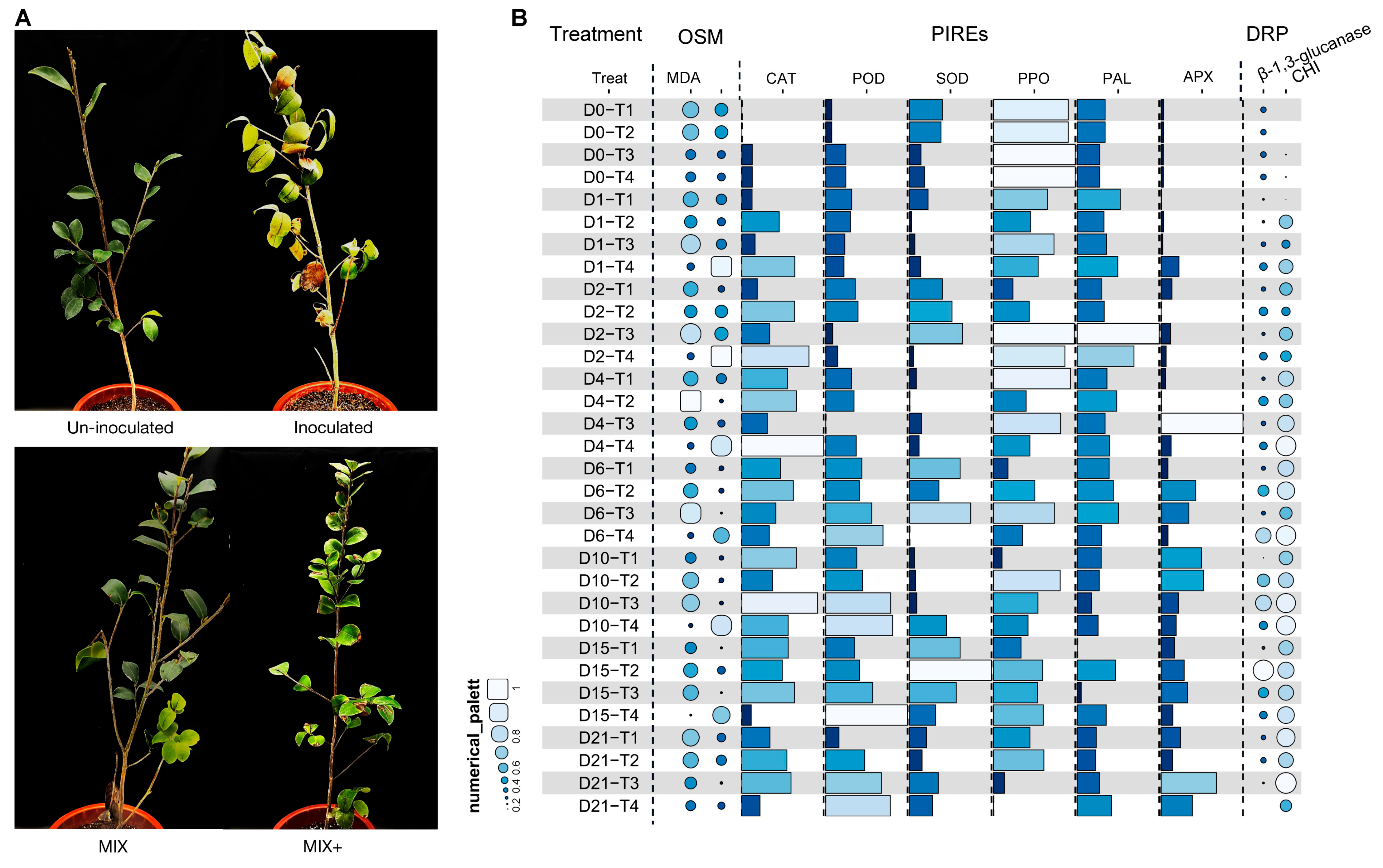Plants 13 02743 g007