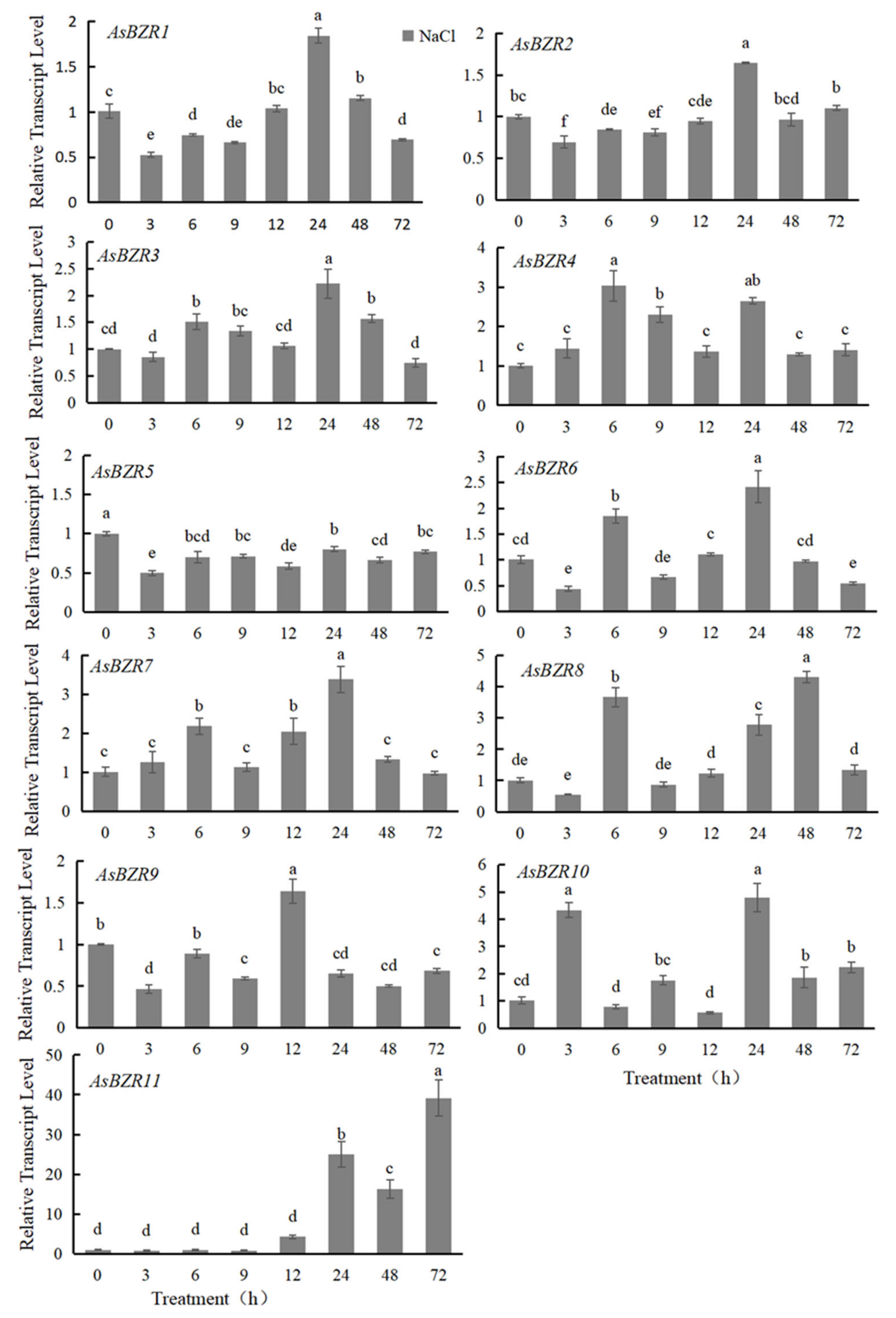 Plants 13 02749 g003