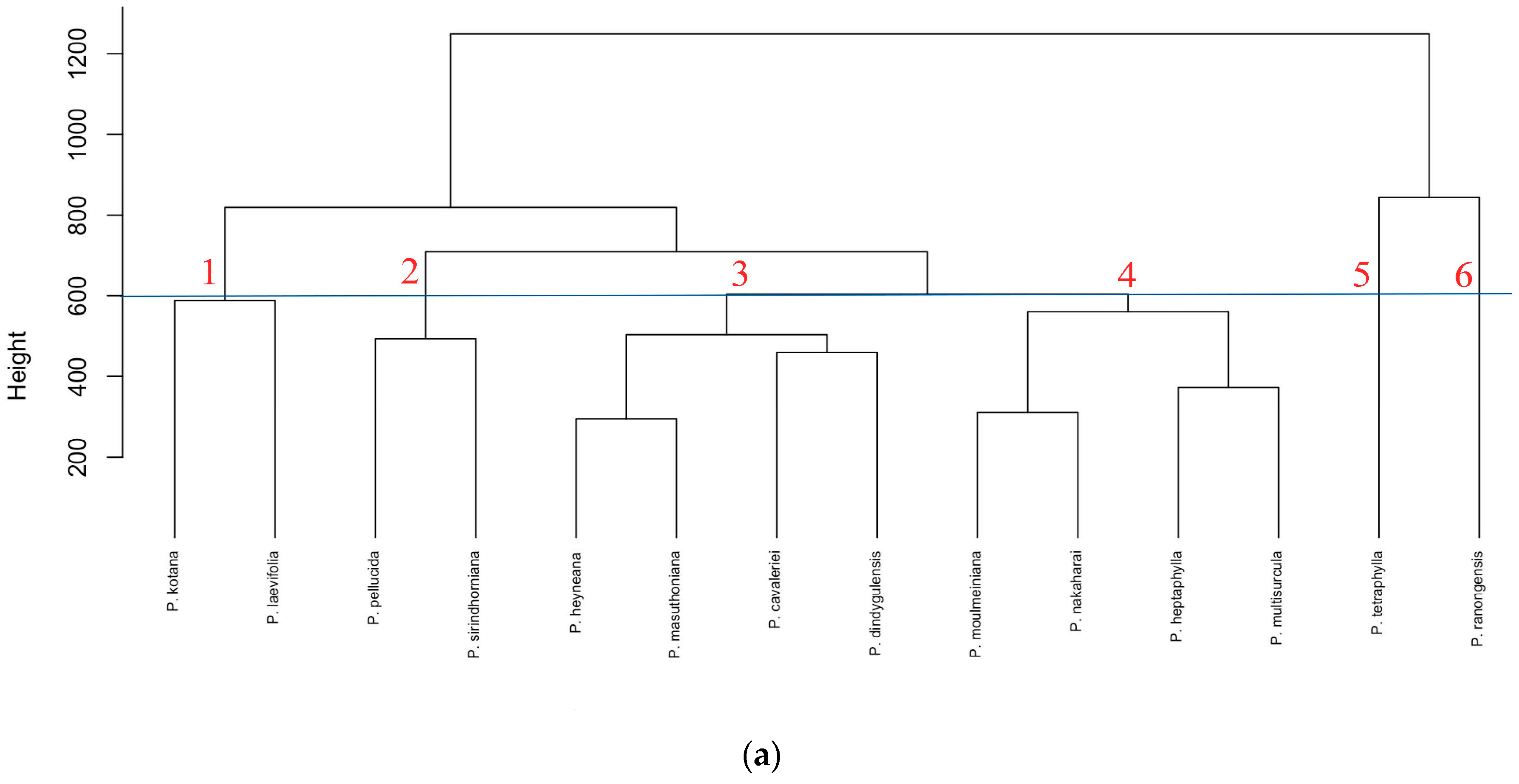 Plants 13 02751 g003a
