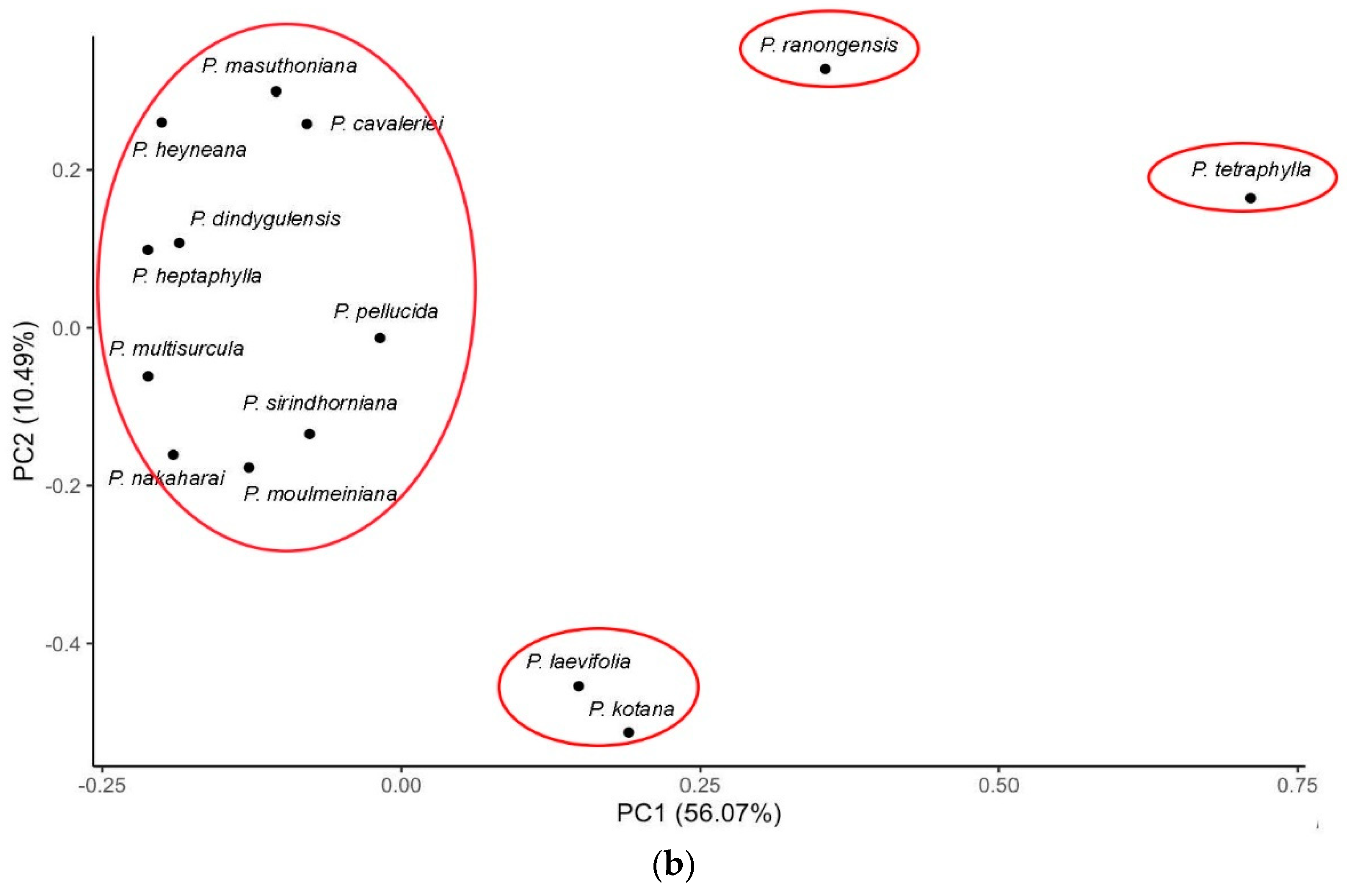 Plants 13 02751 g003b