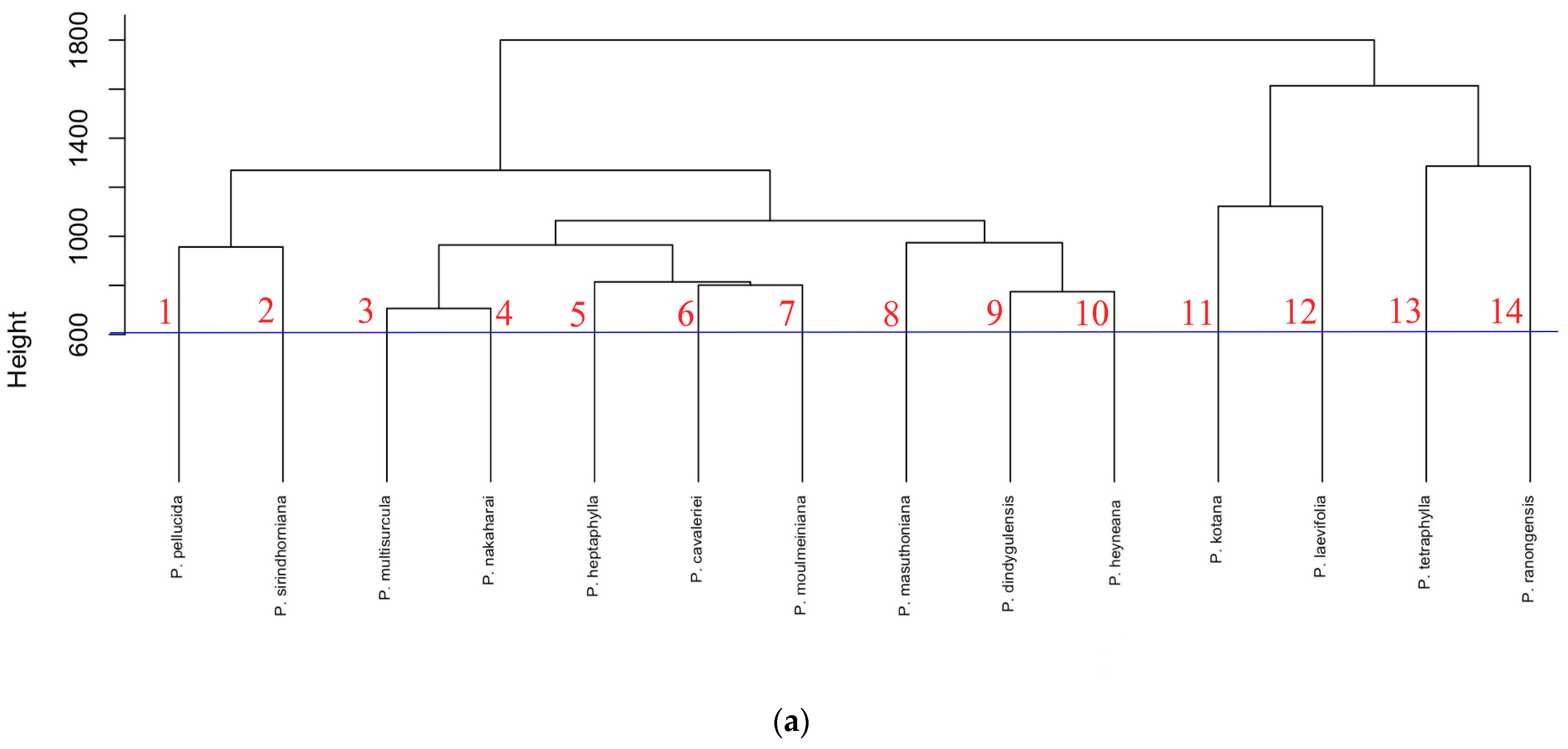 Plants 13 02751 g004a