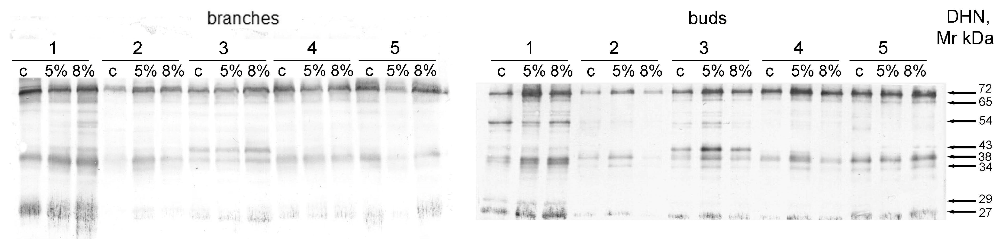 Plants 13 02752 g007 Plants 13 02752 g007