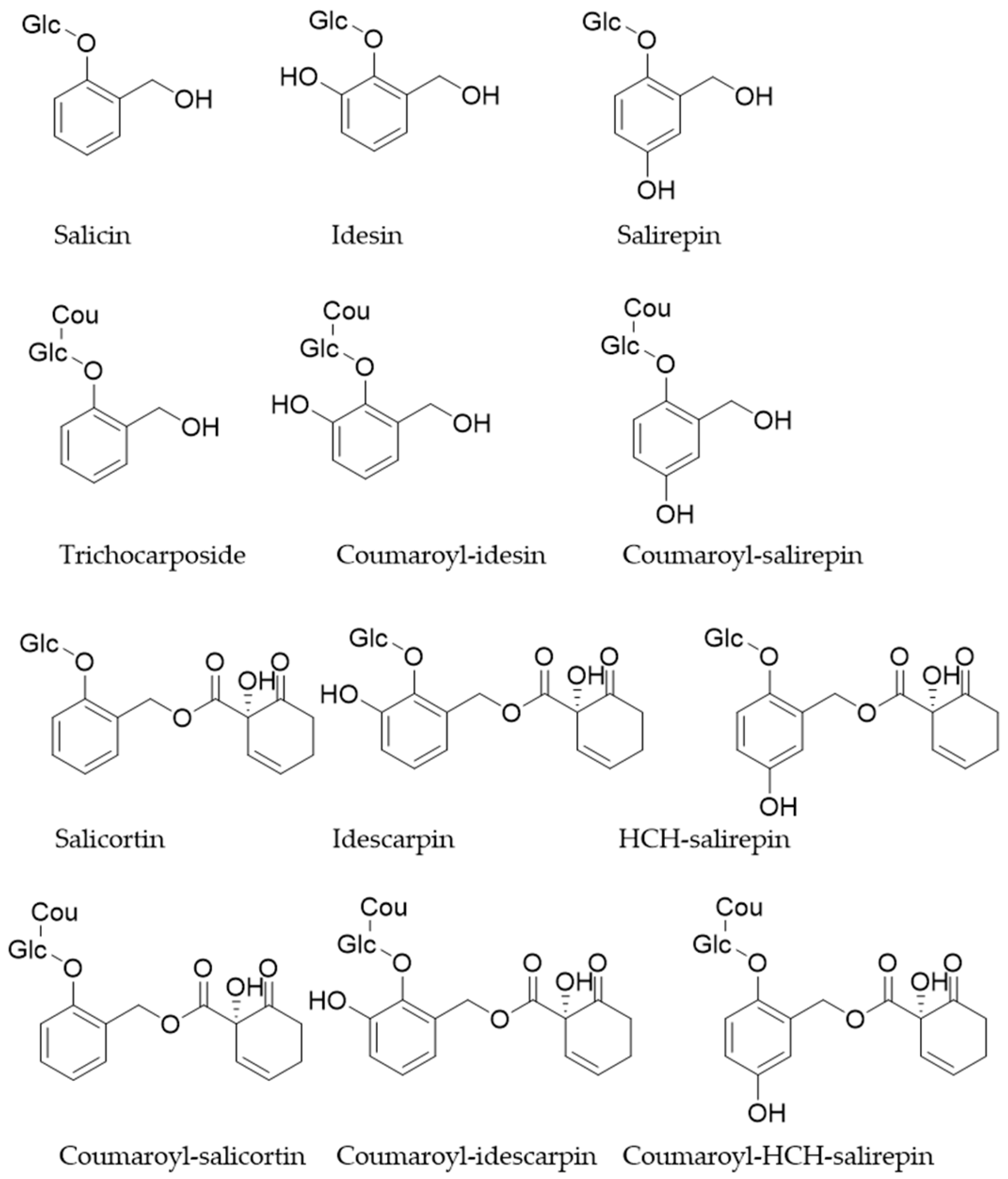 Plants 13 02756 g003