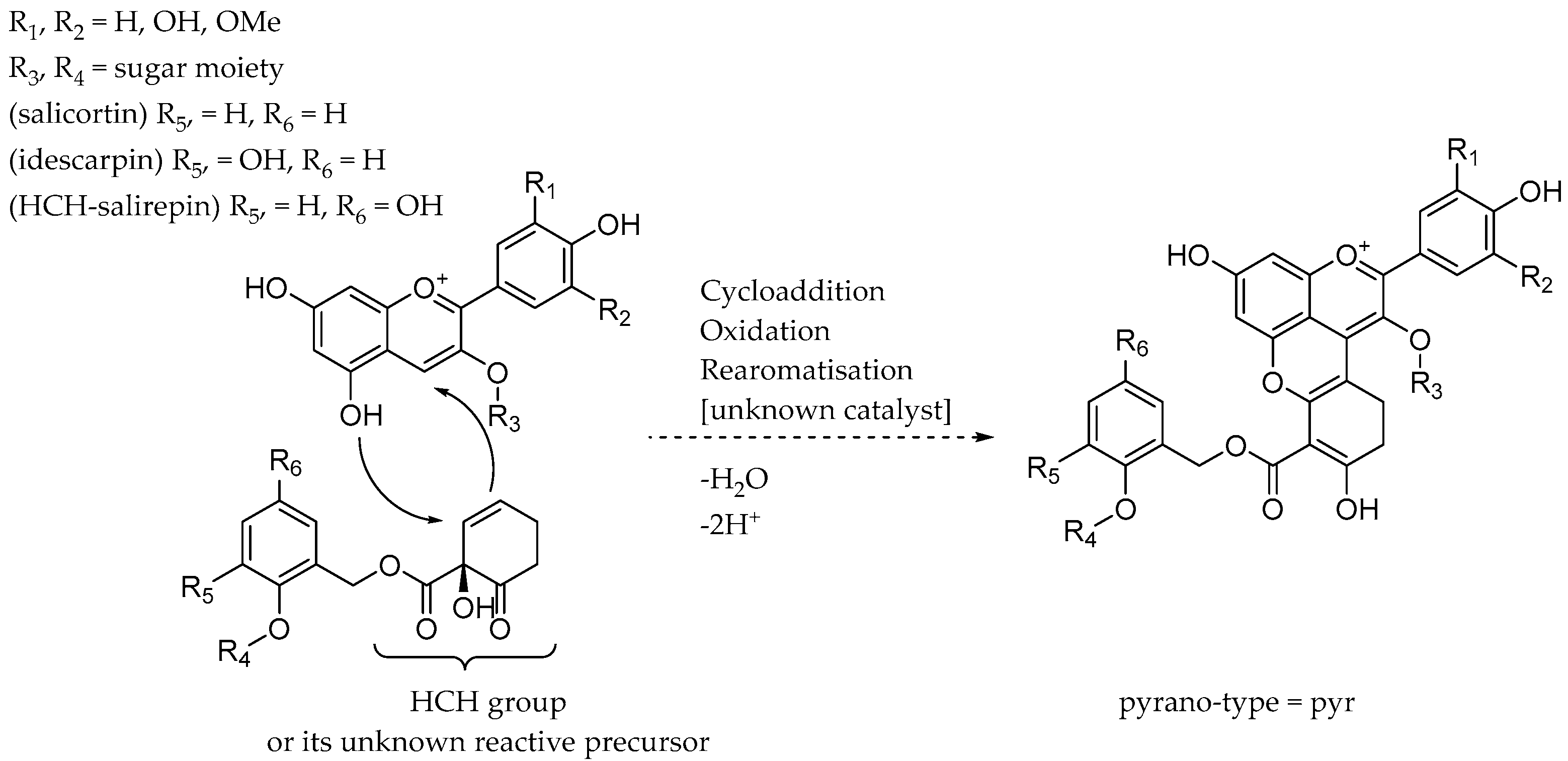 Plants 13 02756 g004