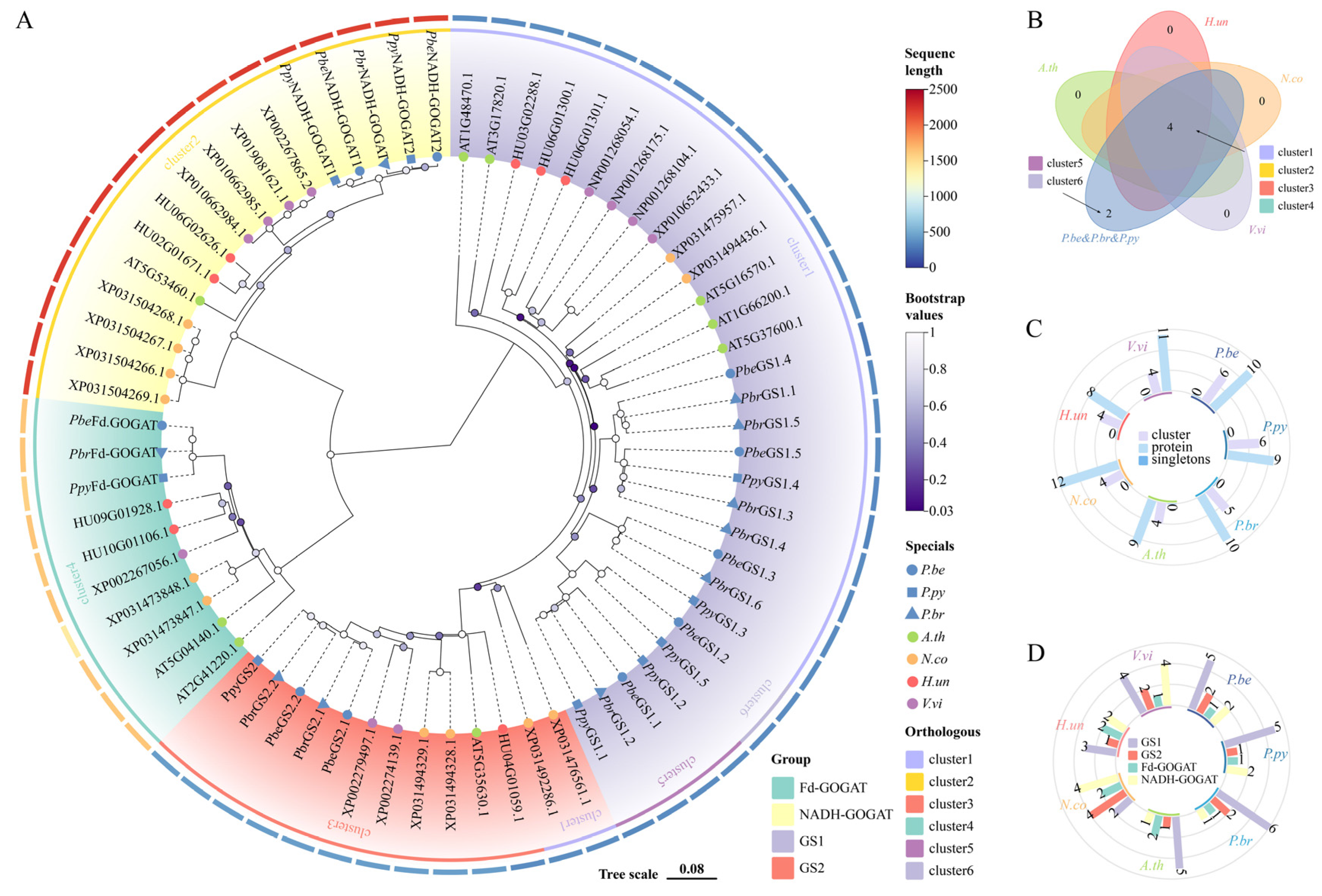 Plants 13 02759 g002
