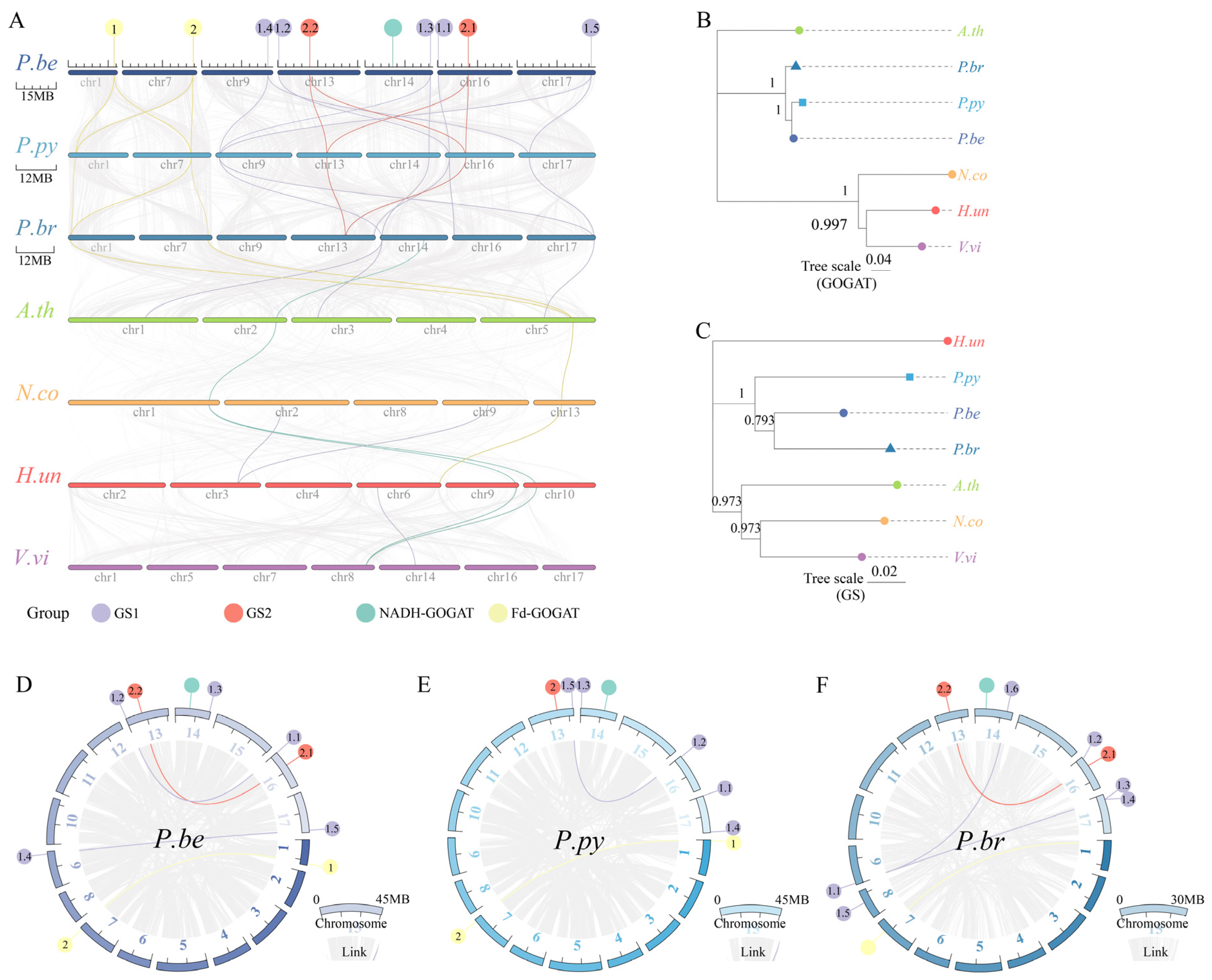 Plants 13 02759 g003
