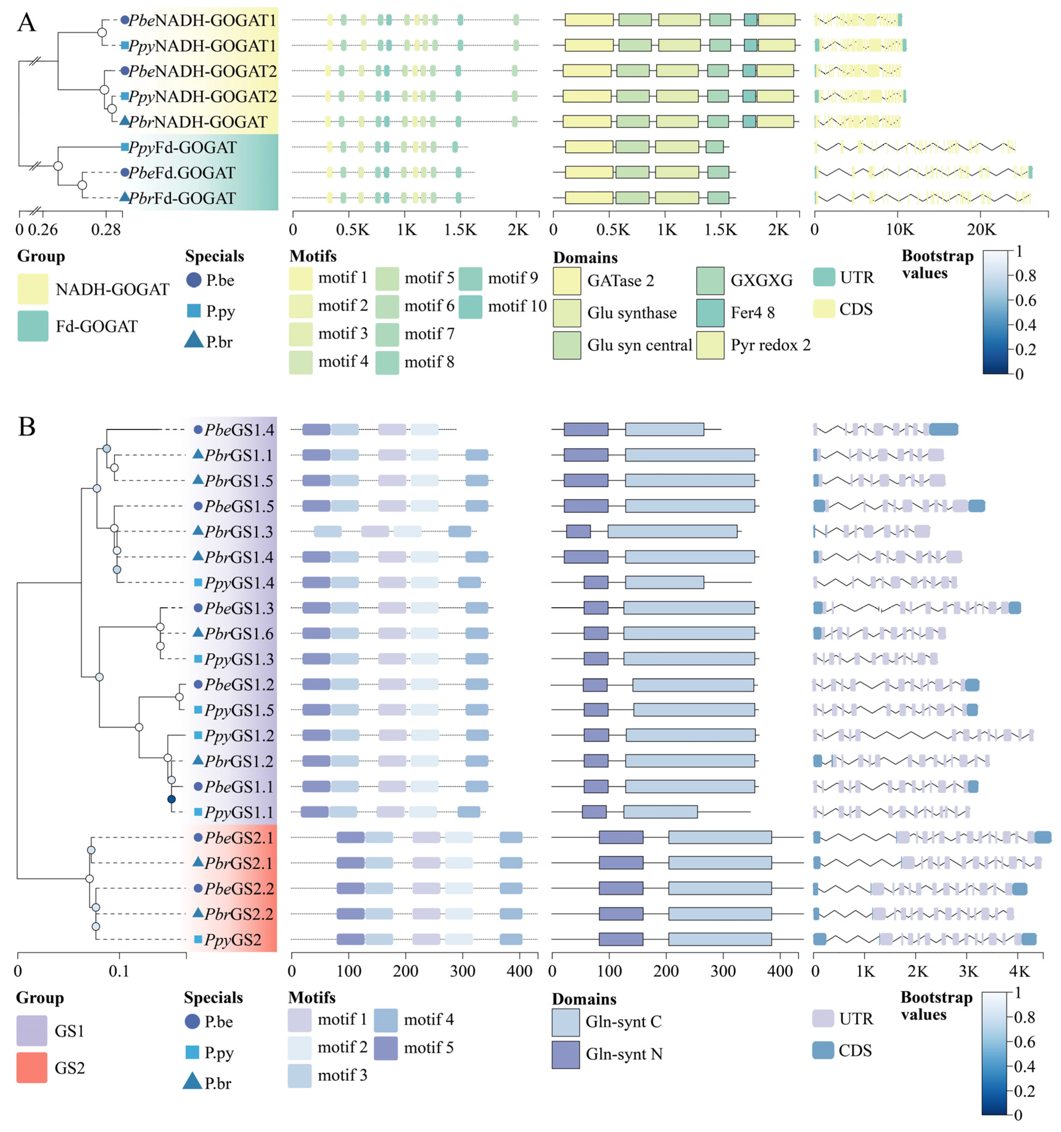 Plants 13 02759 g004