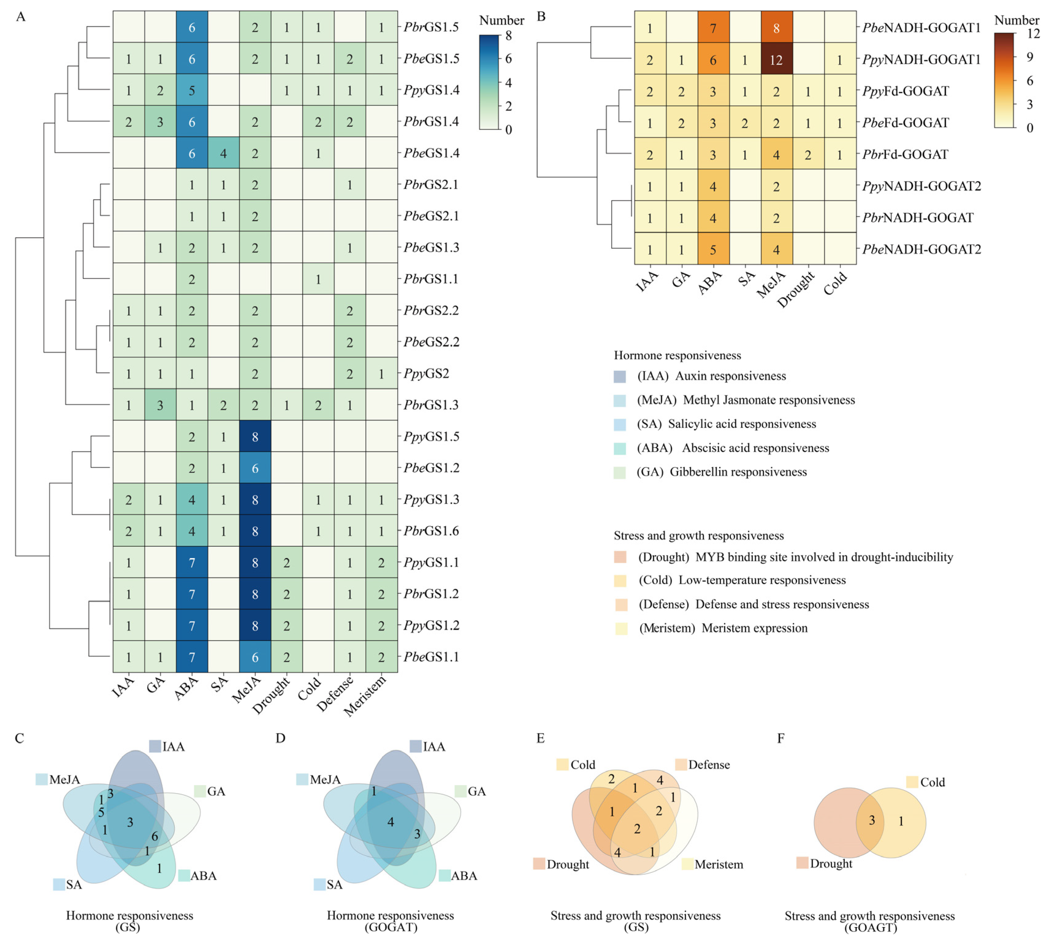 Plants 13 02759 g005