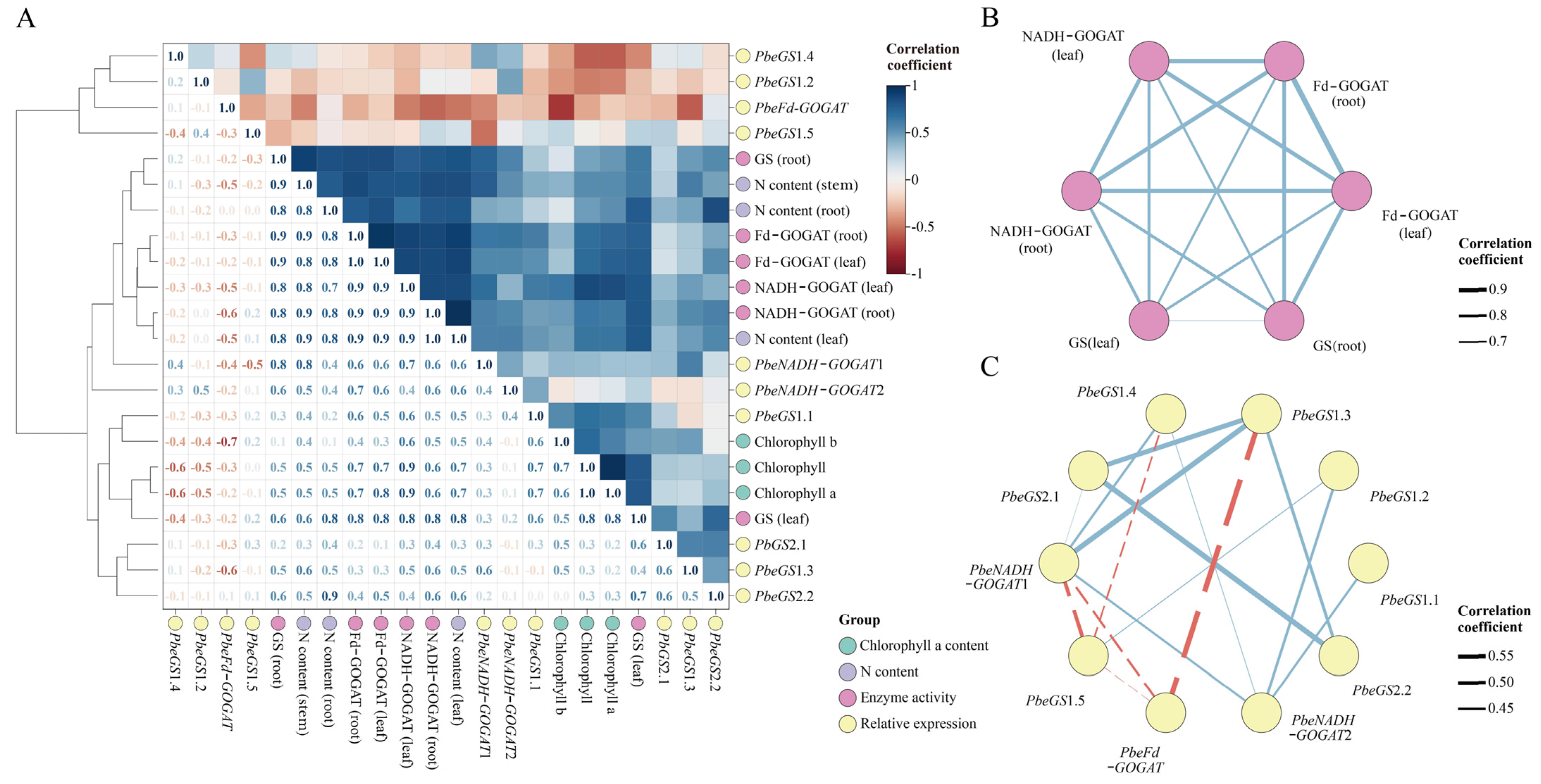 Plants 13 02759 g009