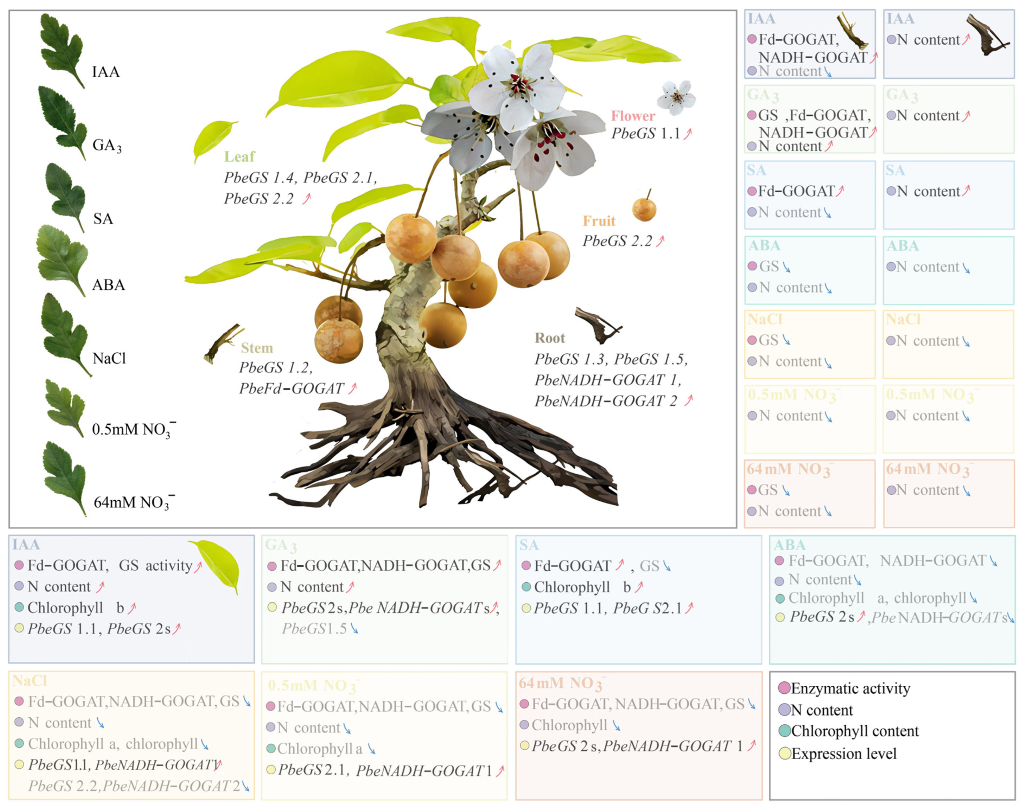 Plants 13 02759 g010