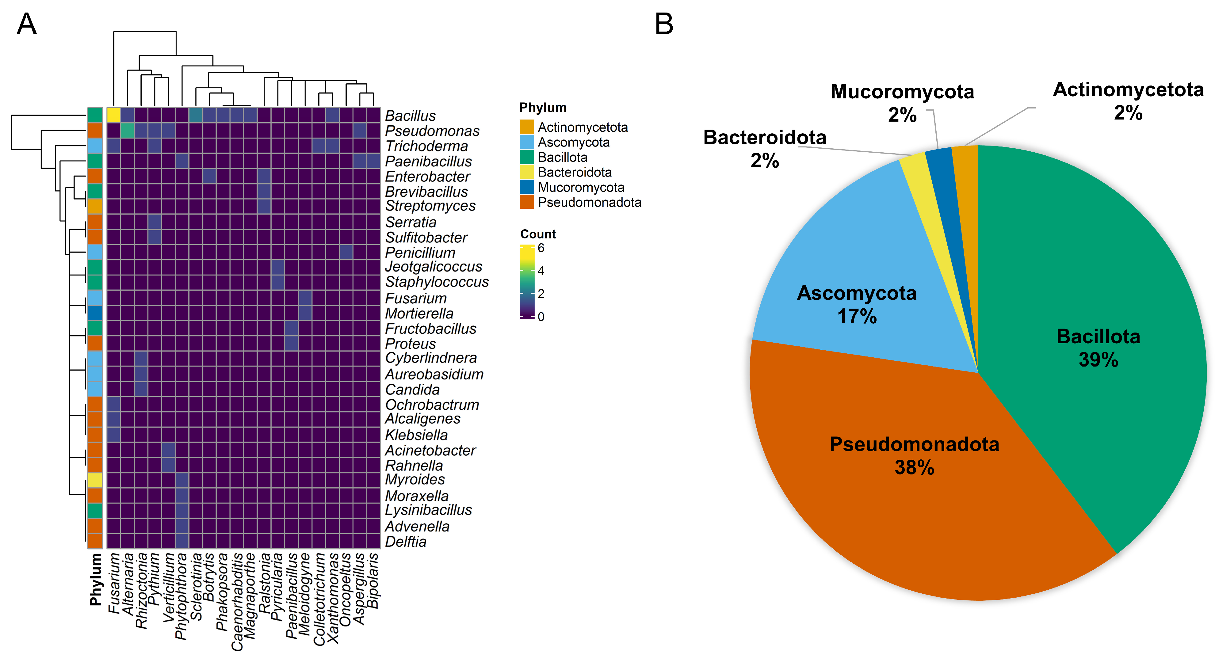 Plants 13 02762 g002
