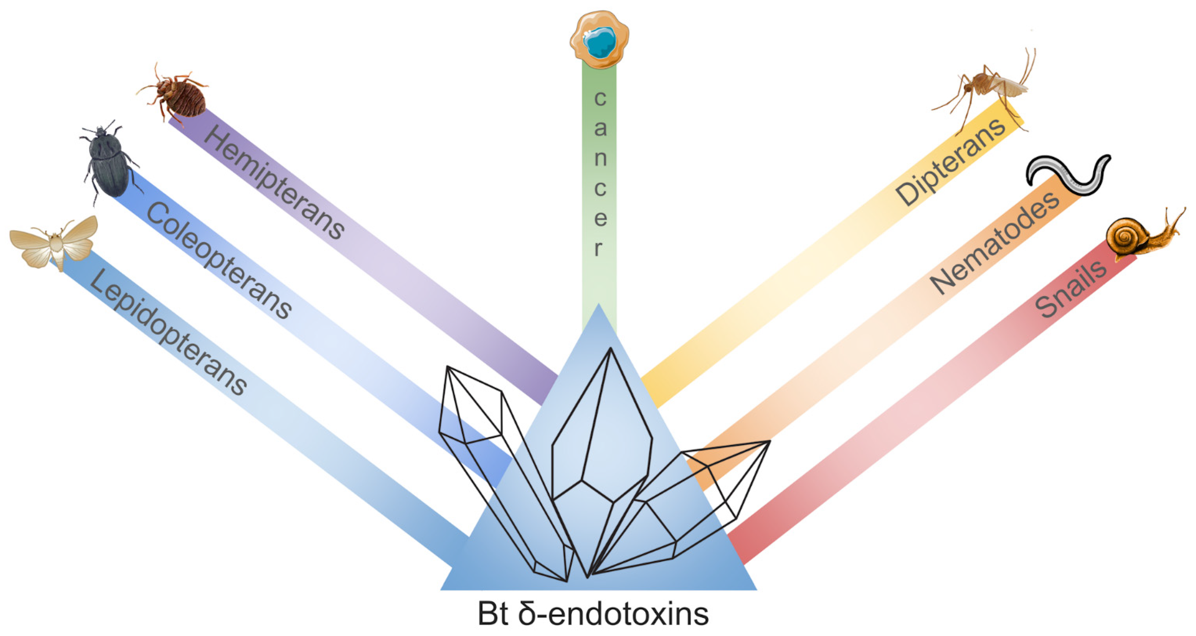 Plants 13 02762 g003