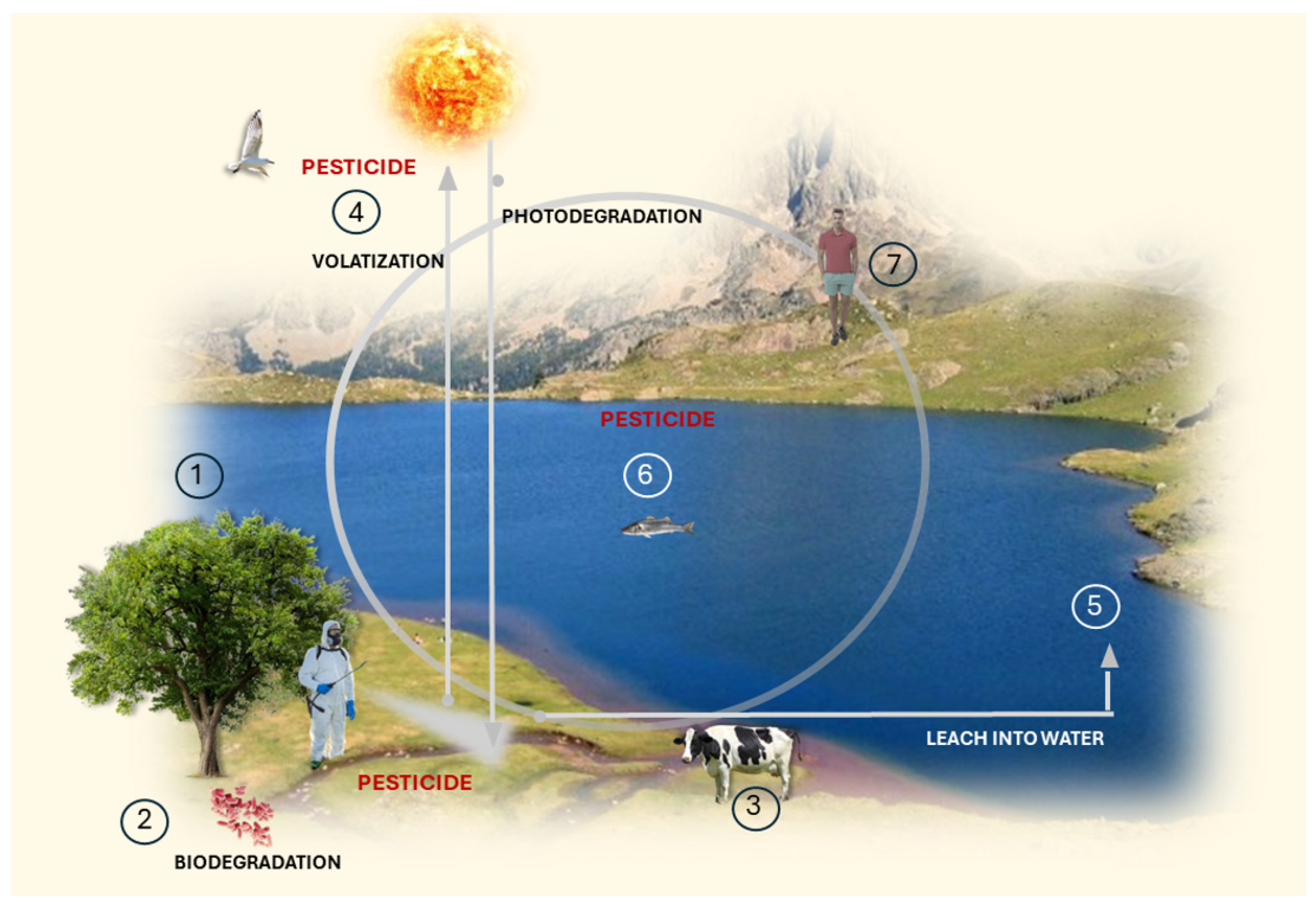 Plants 13 02762 g004