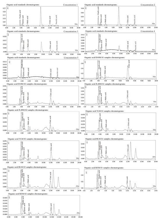 Plants 13 02763 g0a2