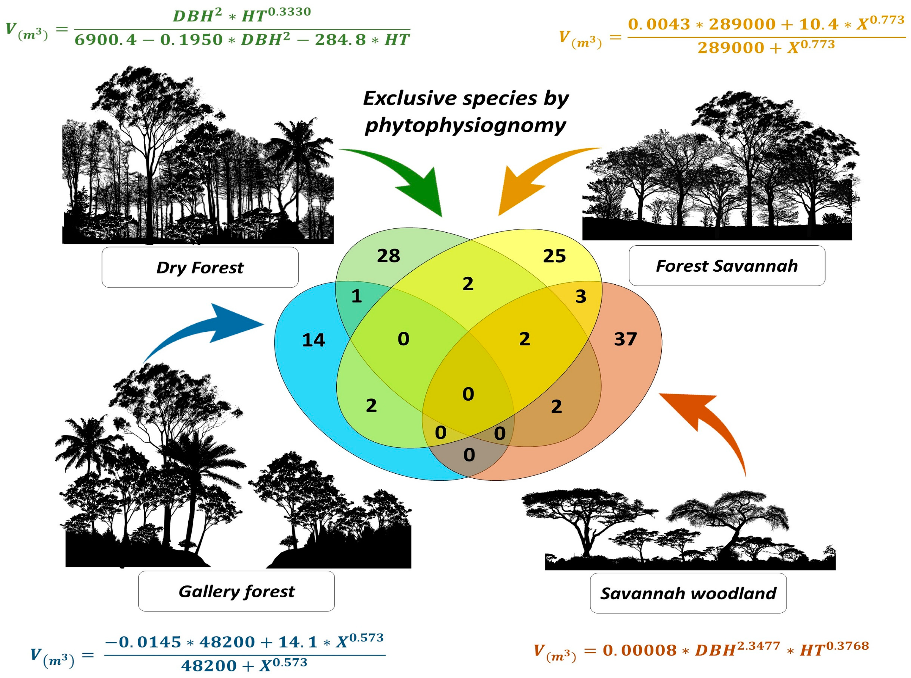 Plants 13 02769 g001