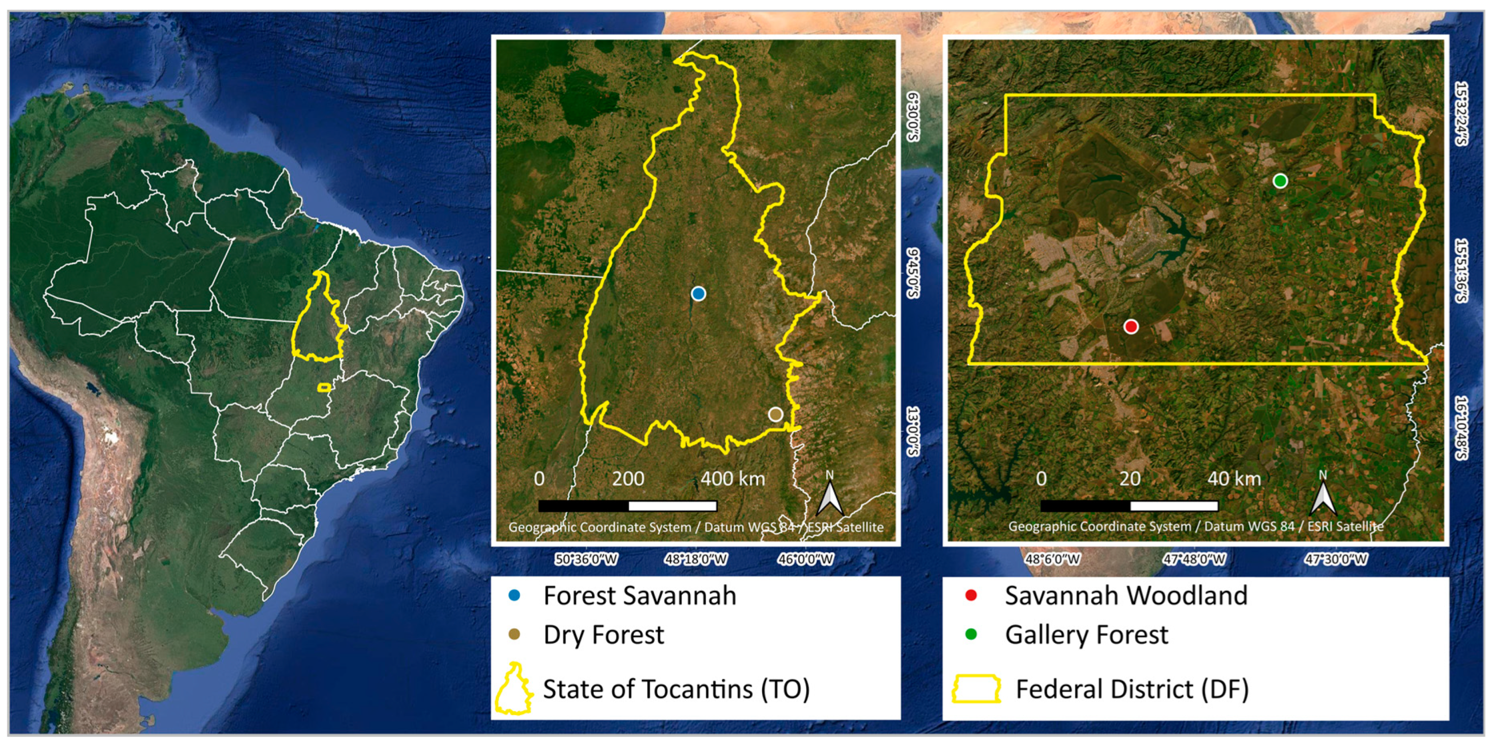 Plants 13 02769 g008