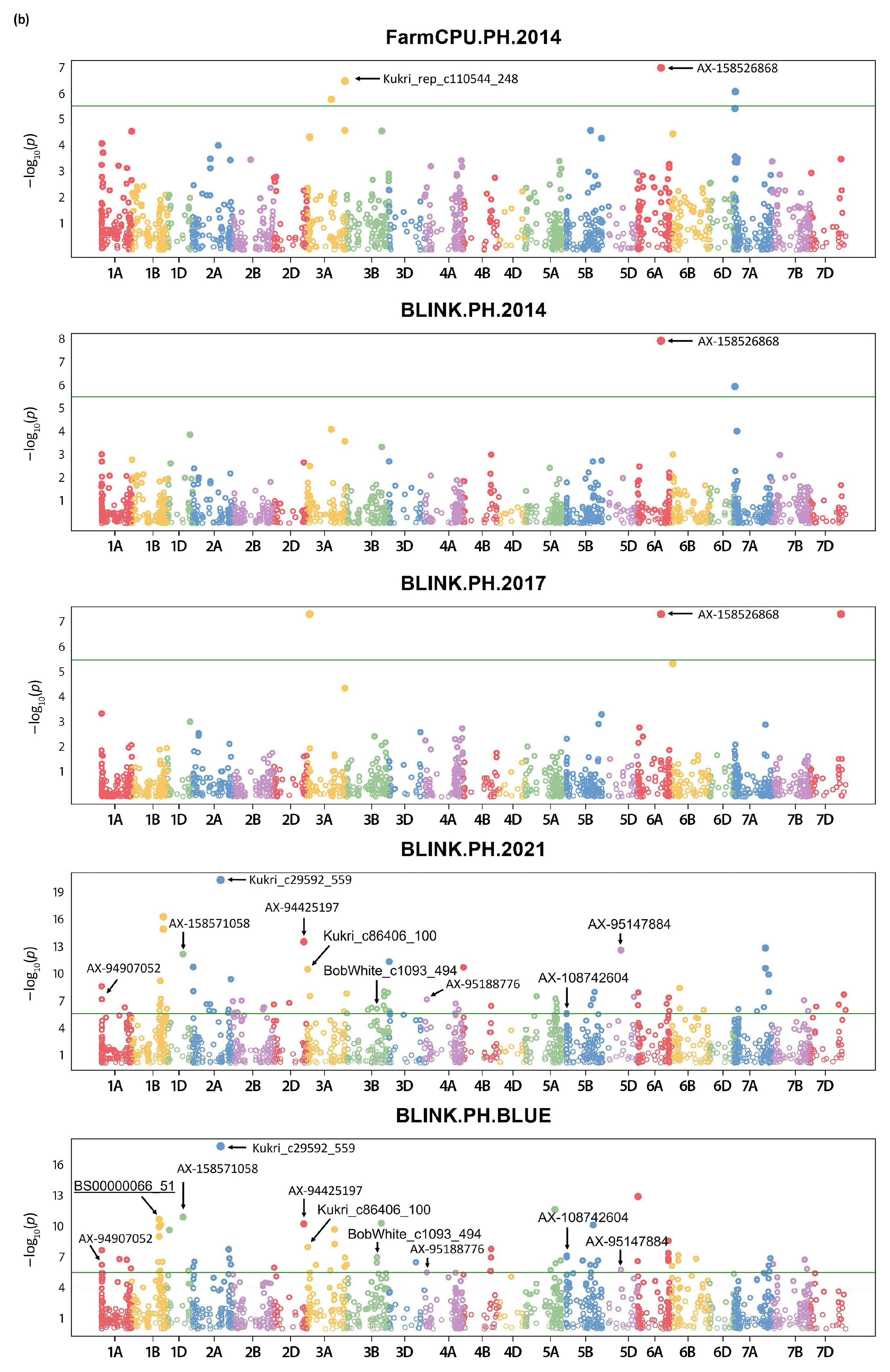 Plants 13 02775 g002b Plants 13 02775 g002b