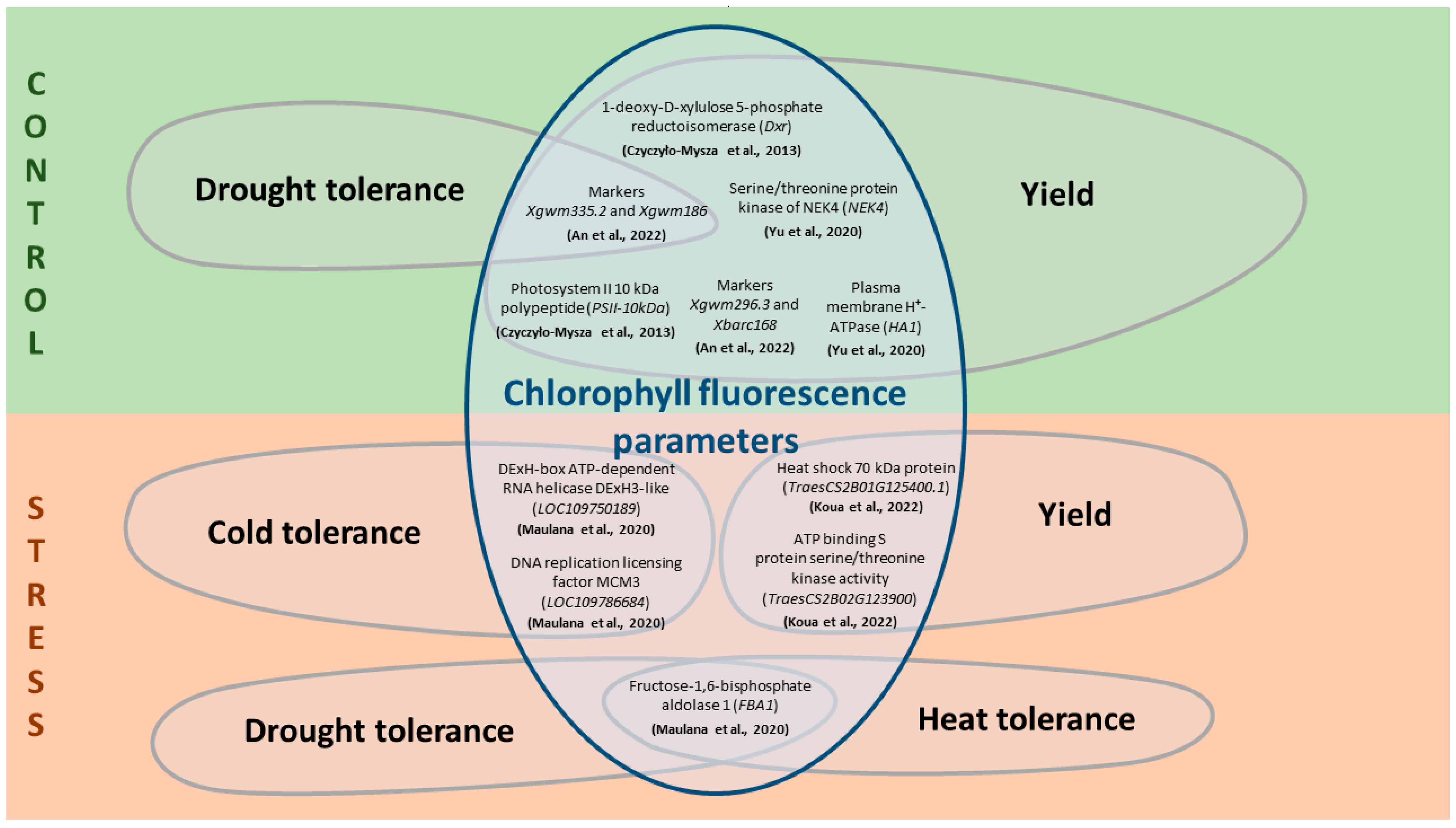 Plants 13 02778 g002 Plants 13 02778 g002