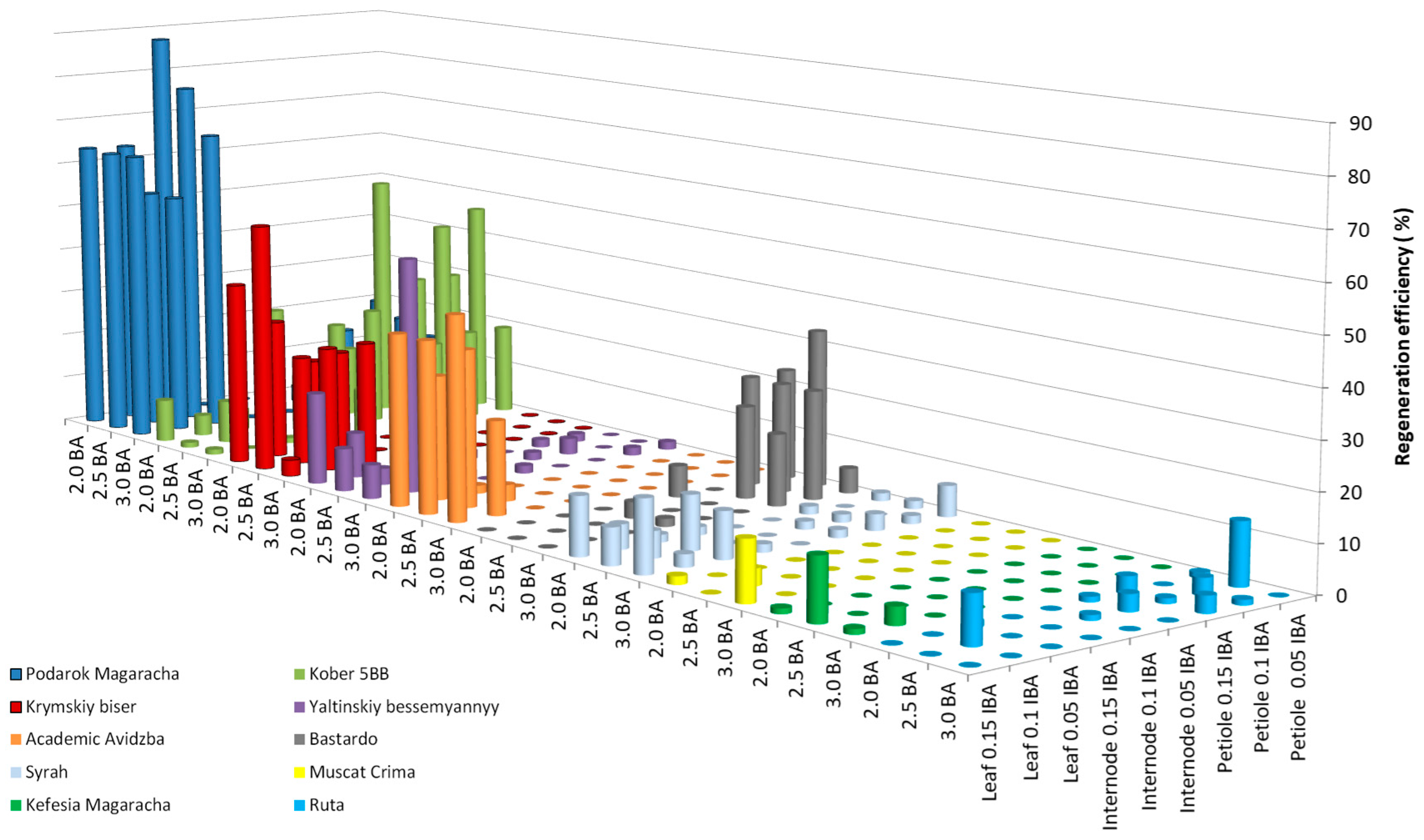 Plants 13 02779 g002