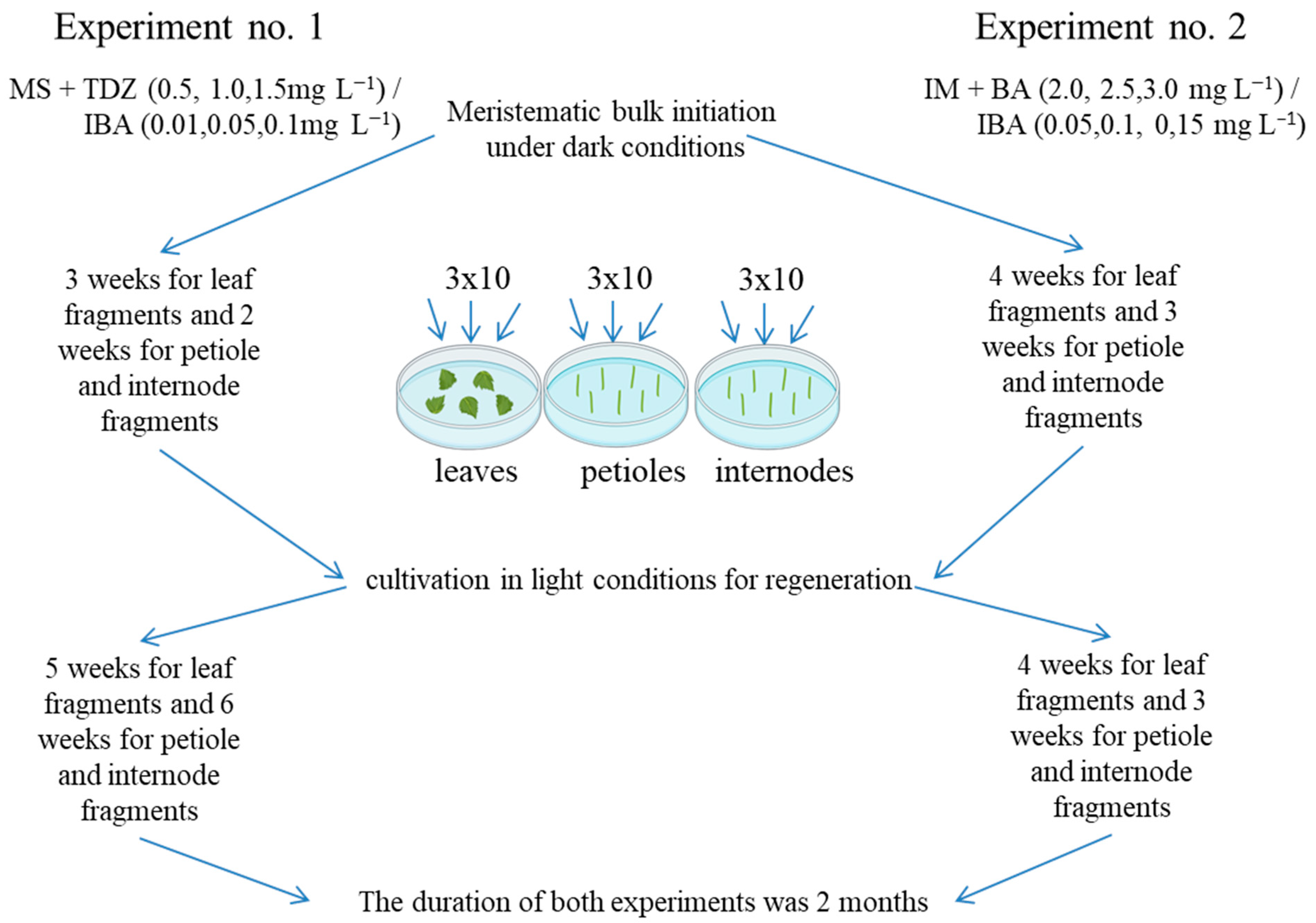 Plants 13 02779 g010