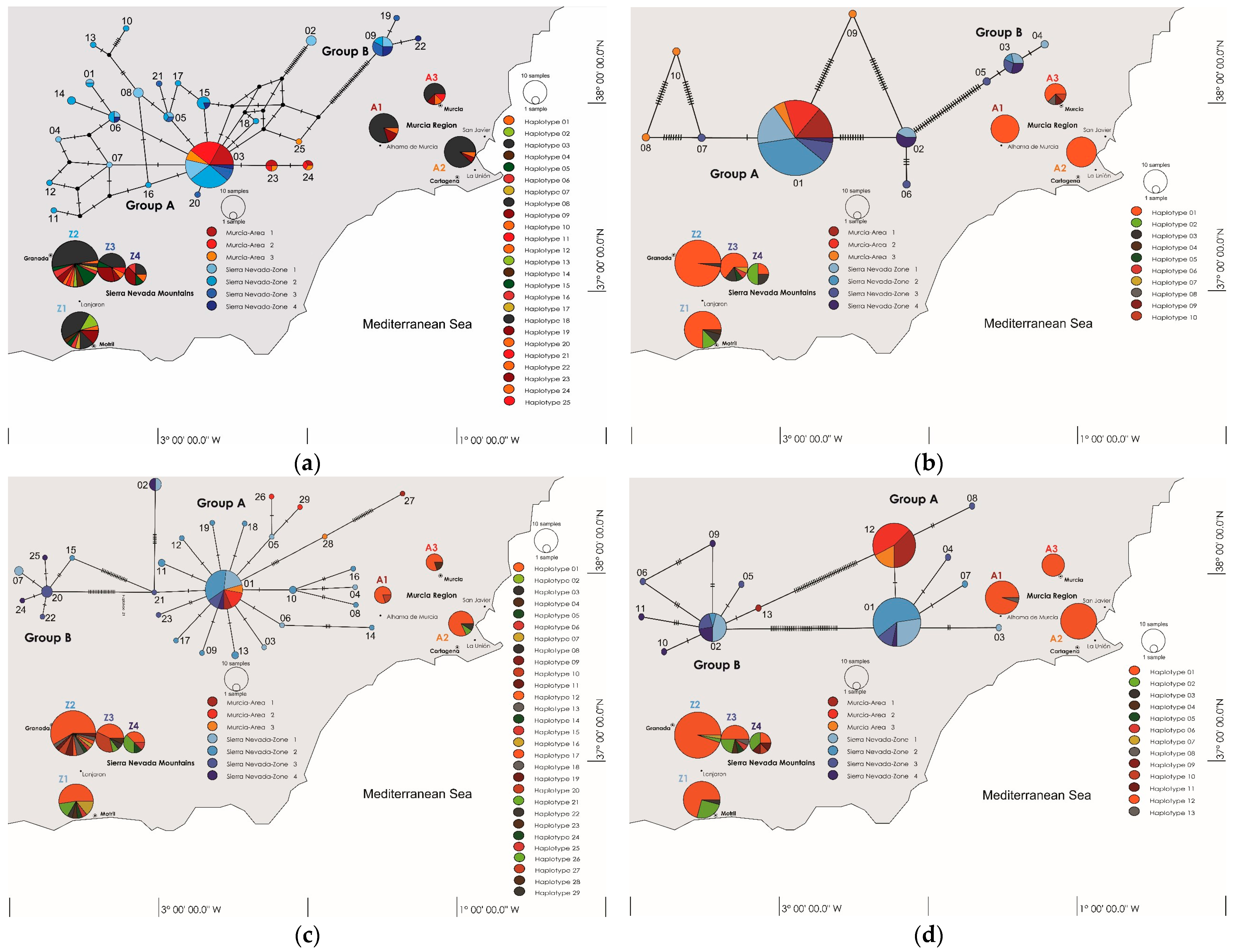 Plants 13 02785 g002